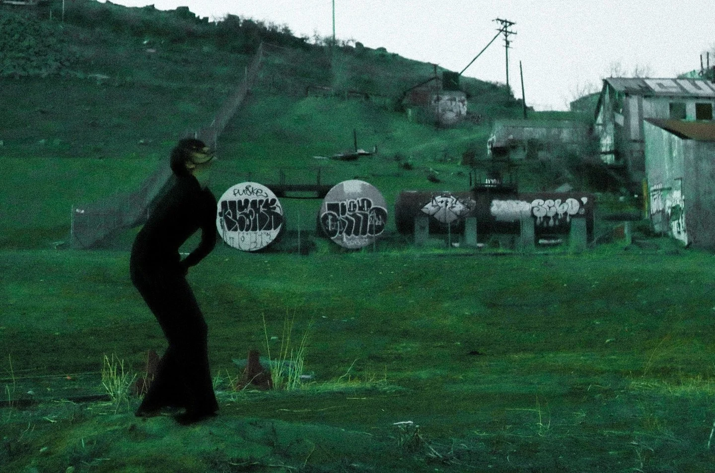 @mia.dino for @roamboulder 
REVERIE♟️