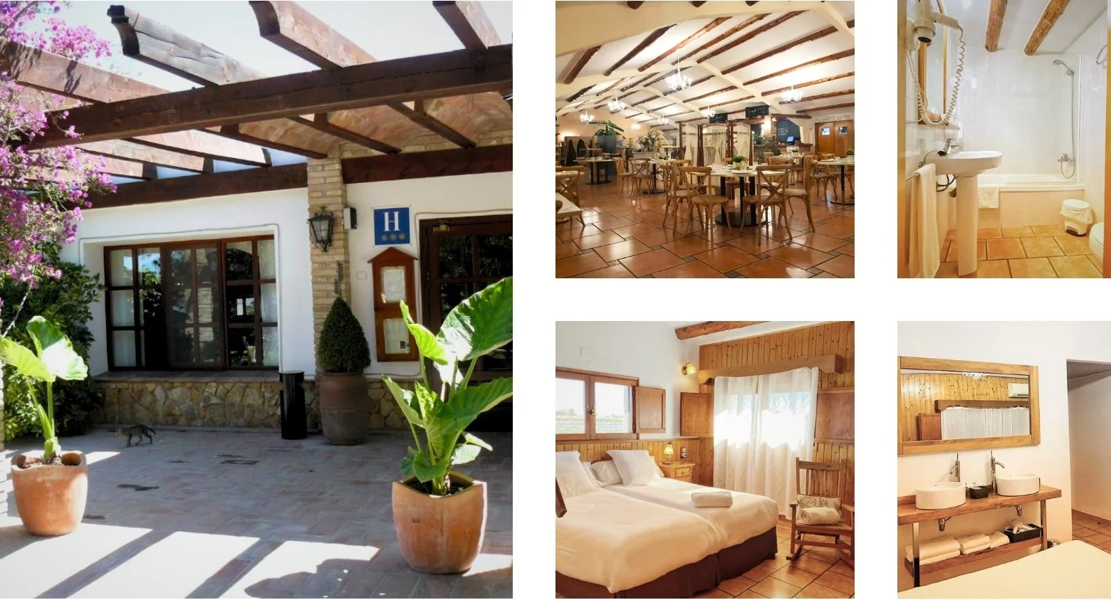 Accommodation-Ebro Delta_Warbler Tours.jpg (copia) (copia)