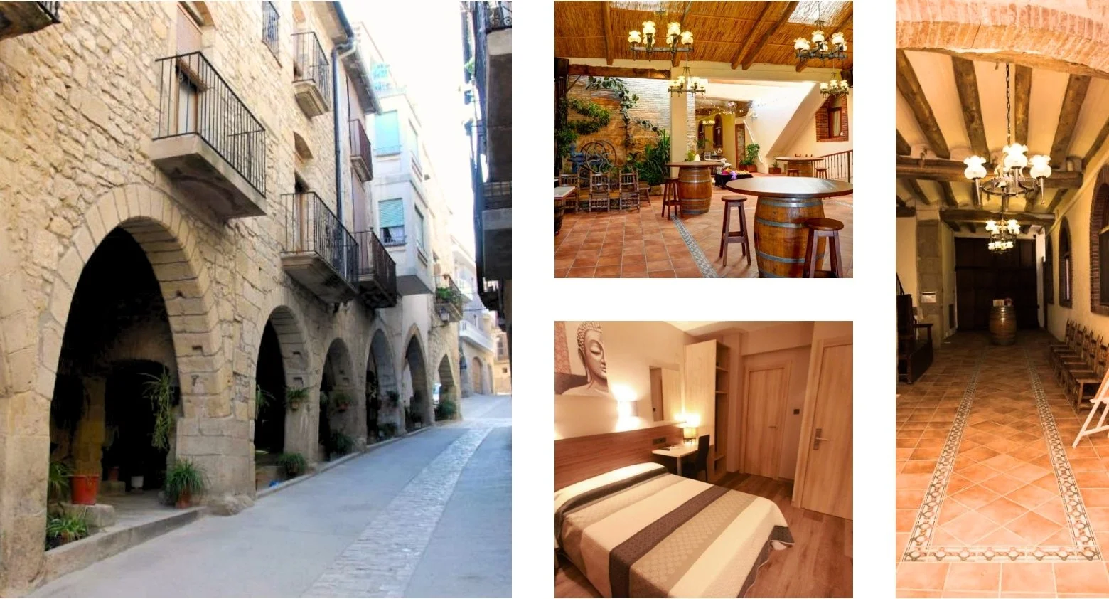 Accommodation-Ebro Valley_Warbler Tours.jpg (copia) (copia)