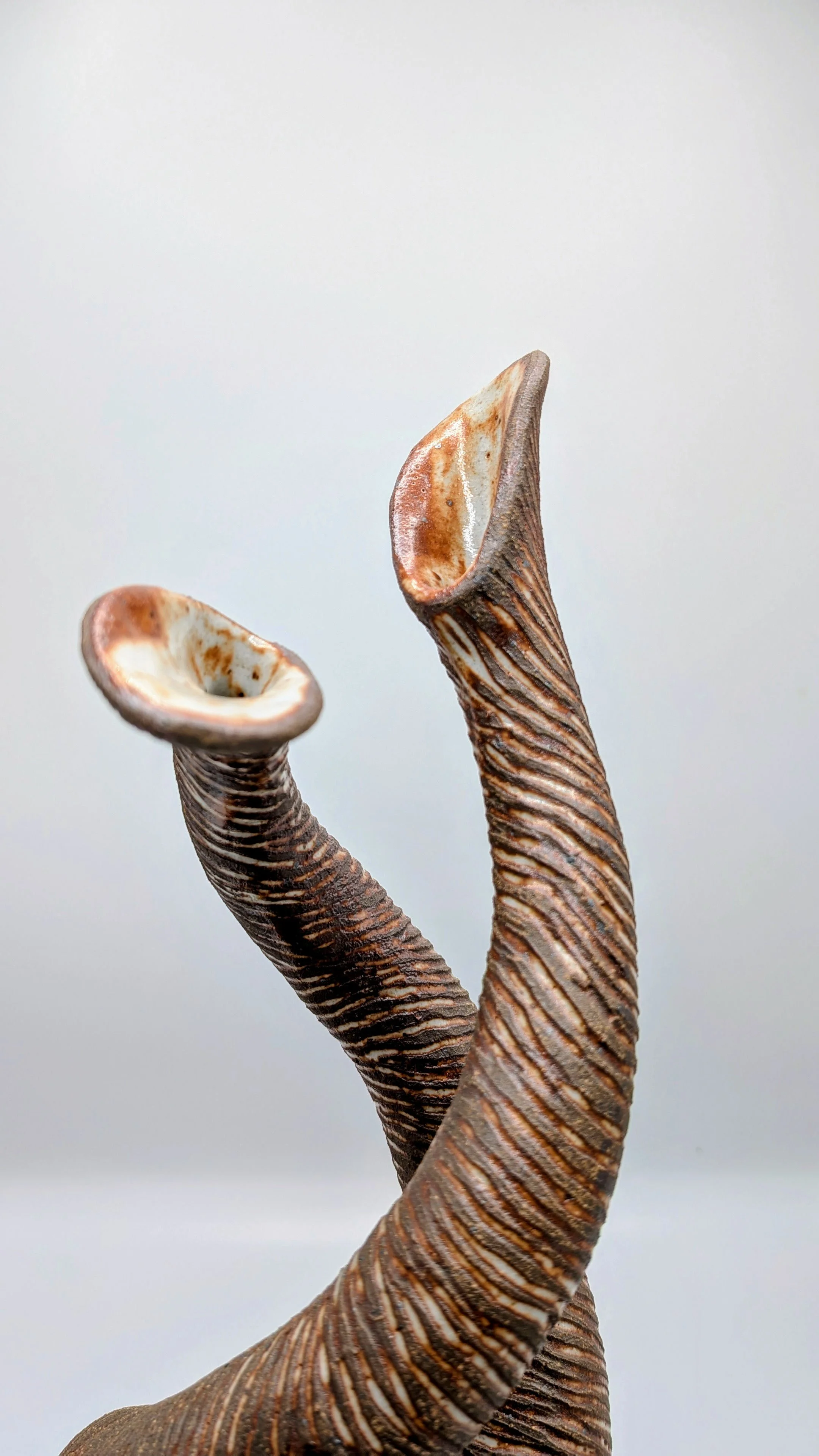 Will the real Jessica please stand up?