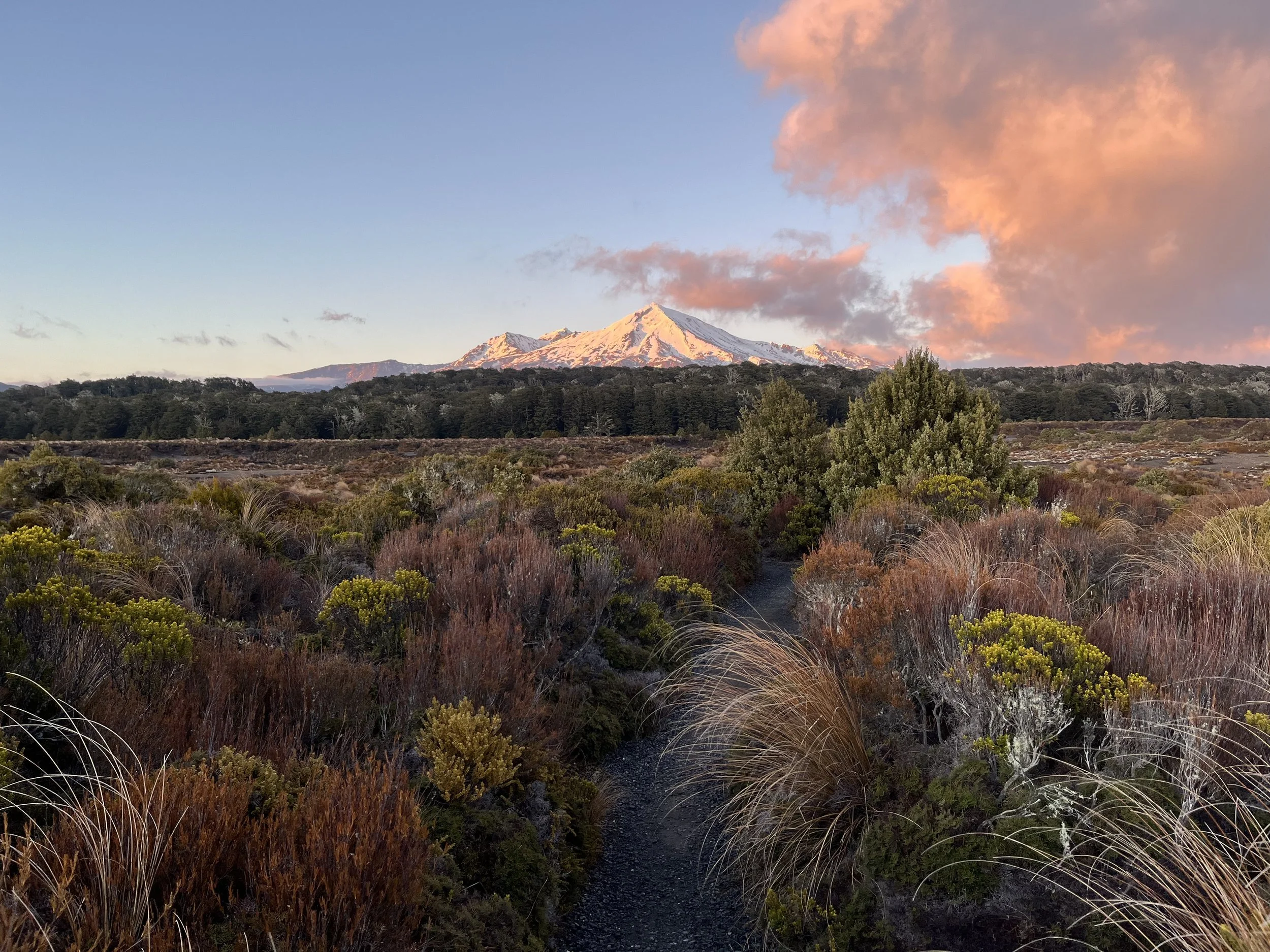 Joyful Lightness of Being