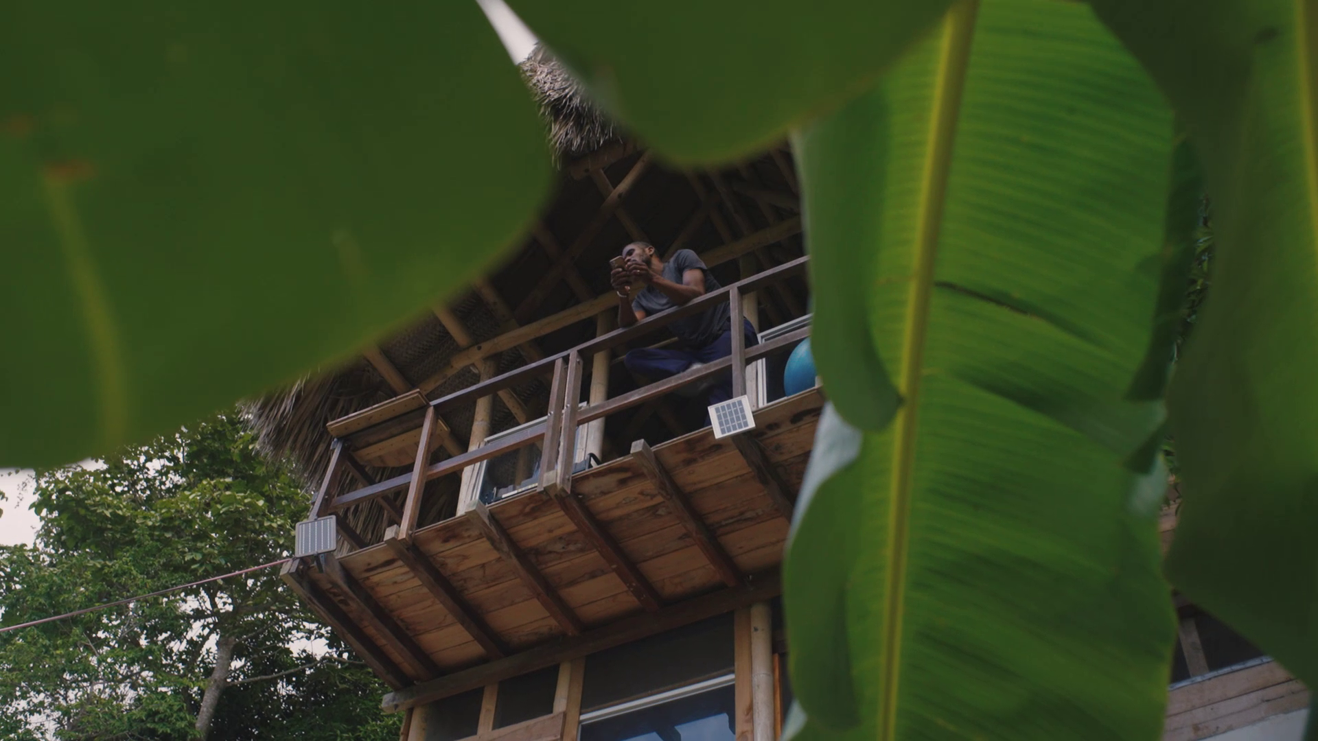 Person sitting on a wooden balcony with a thatched roof, visible through large green leaves, holding a phone.