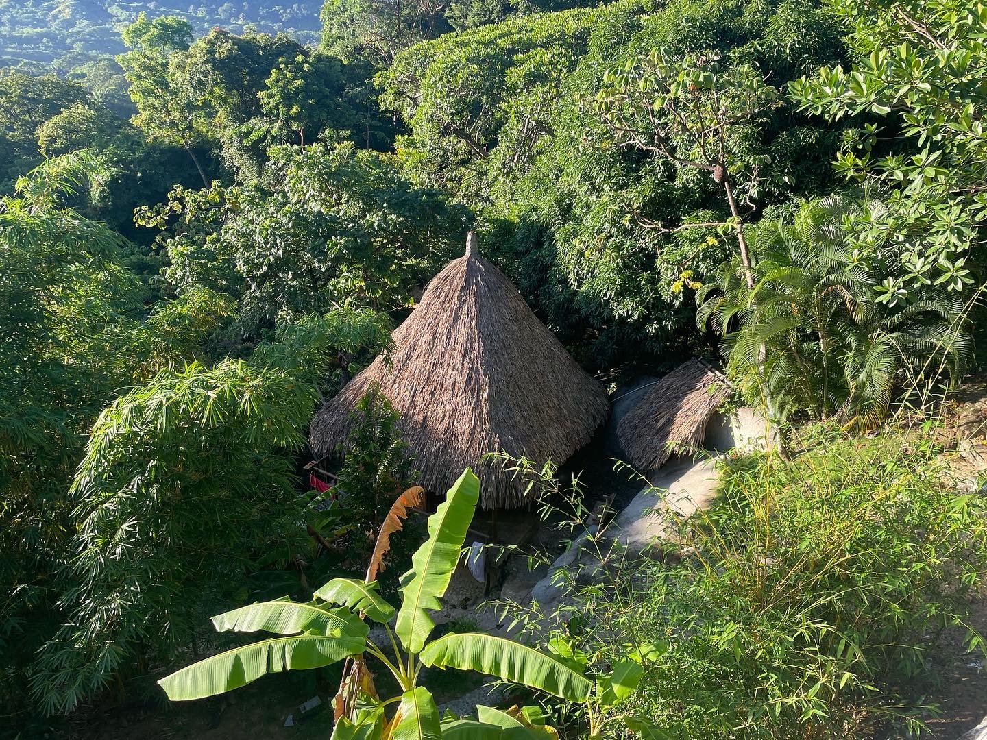 Traditional thatched-roof huts surrounded by lush green tropical vegetation.