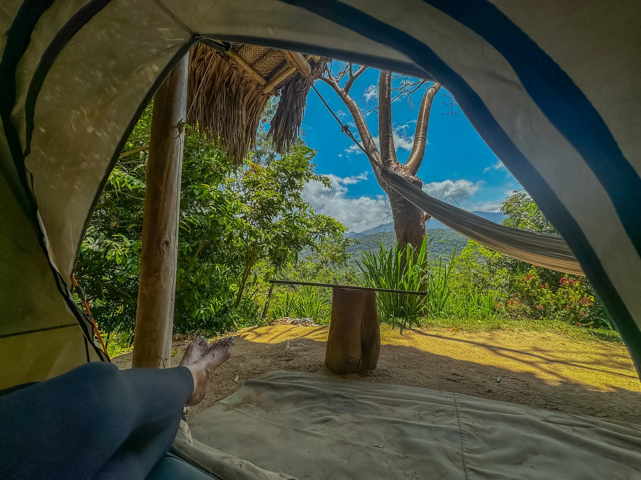 View from inside tent