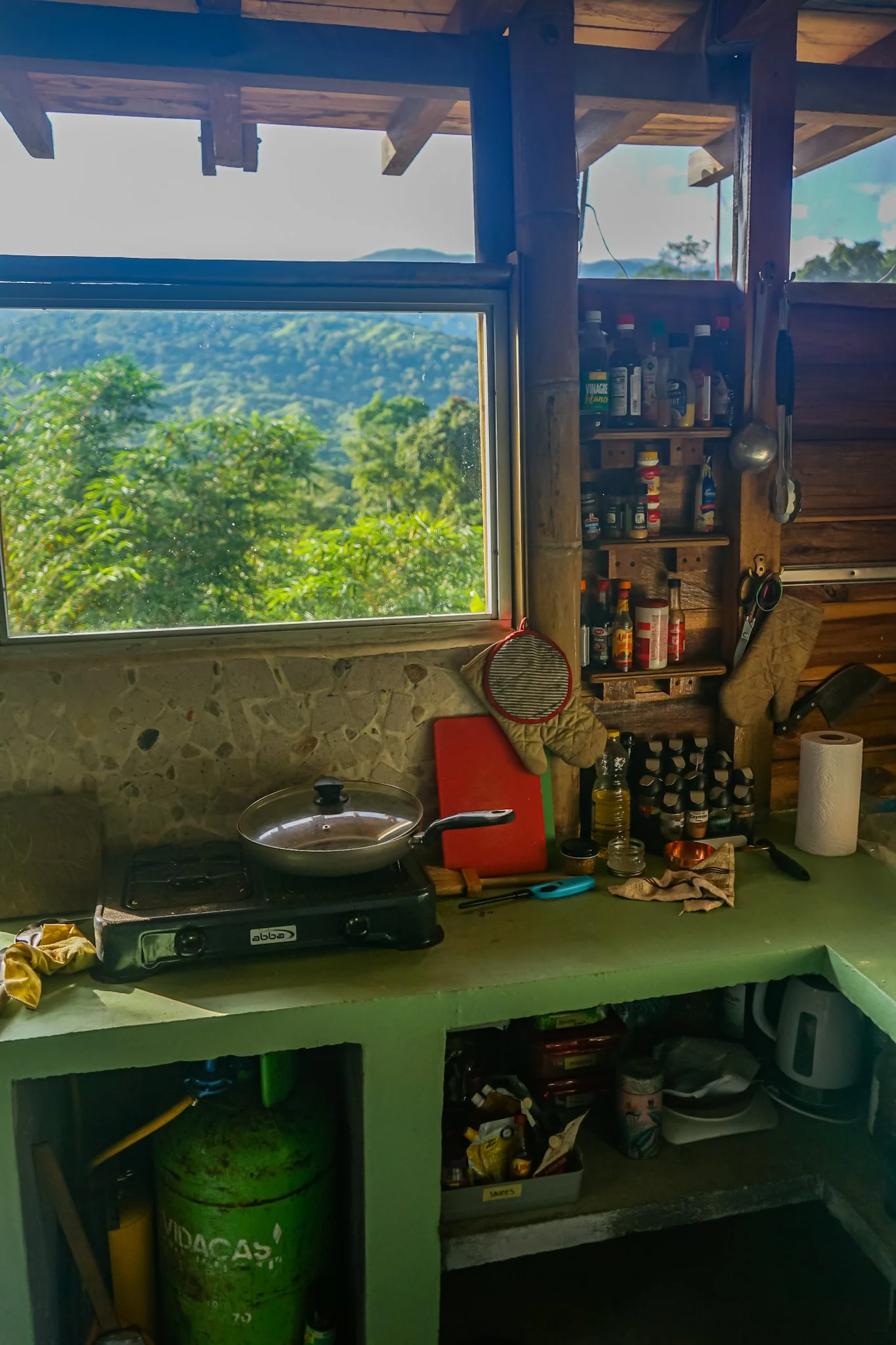 A rustic kitchen with a window showing a view of green mountains, a stove with a frying pan, a green counter with various kitchen items, and a shelf with spices and utensils.