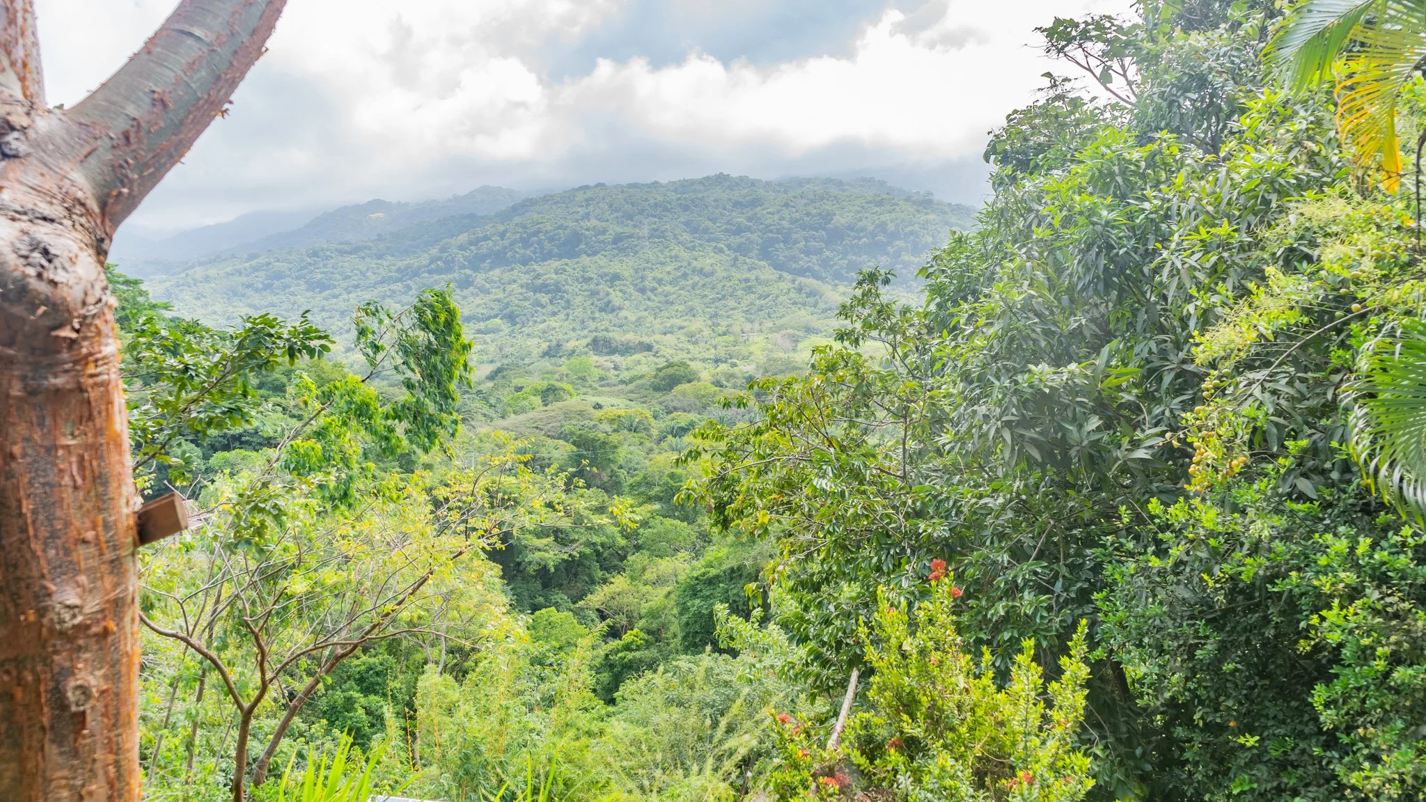 Gazebo Camping-15.jpg