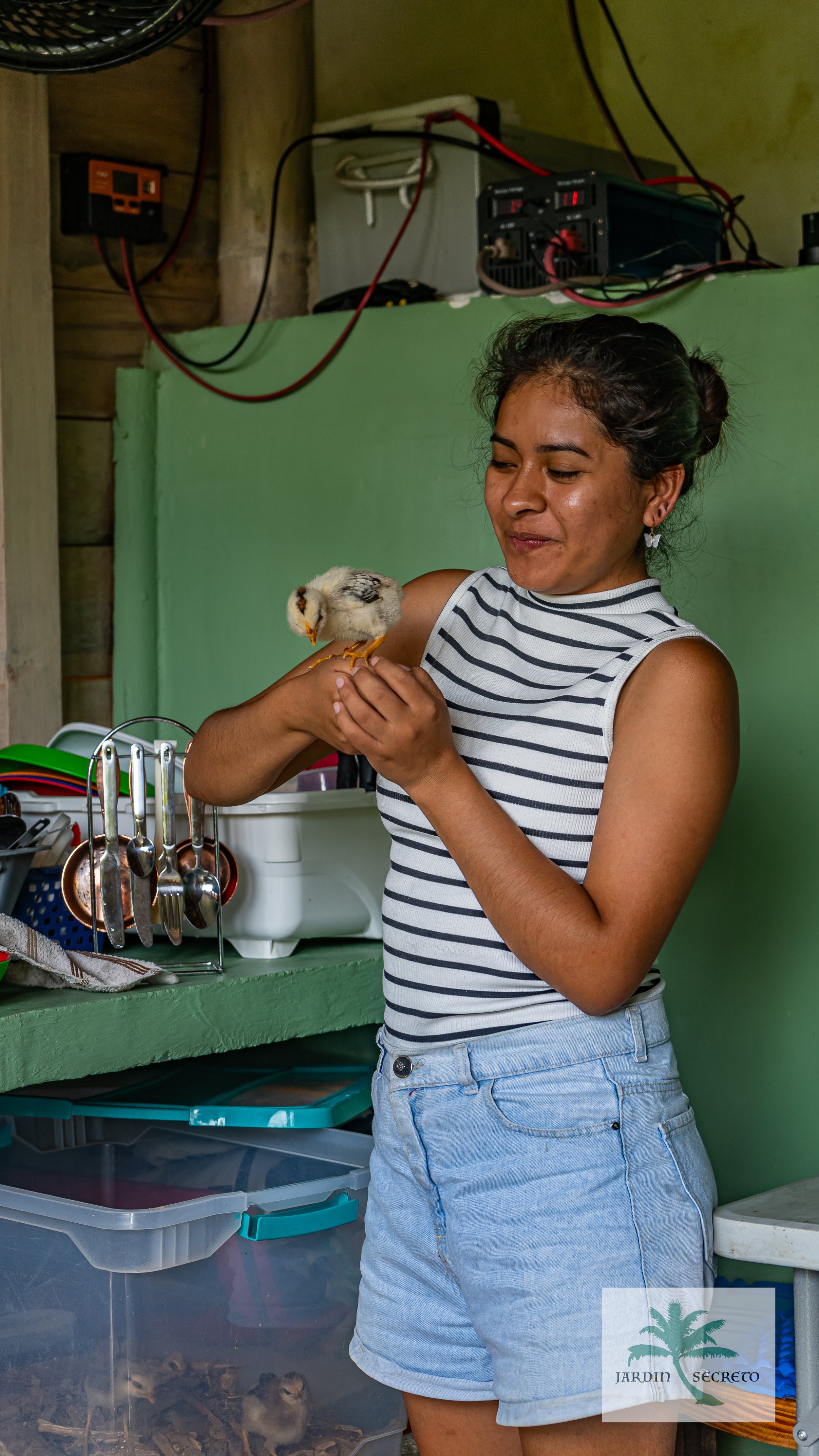 A woman holding a small chicken inside a room with green walls, kitchen utensils, and electronics in the background.