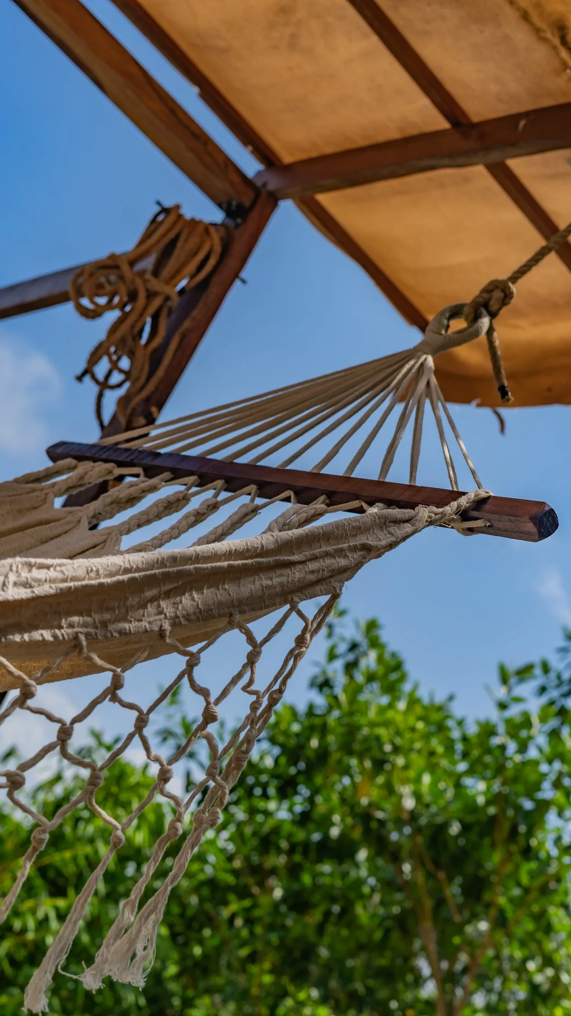 Suenos Progress-11.jpg