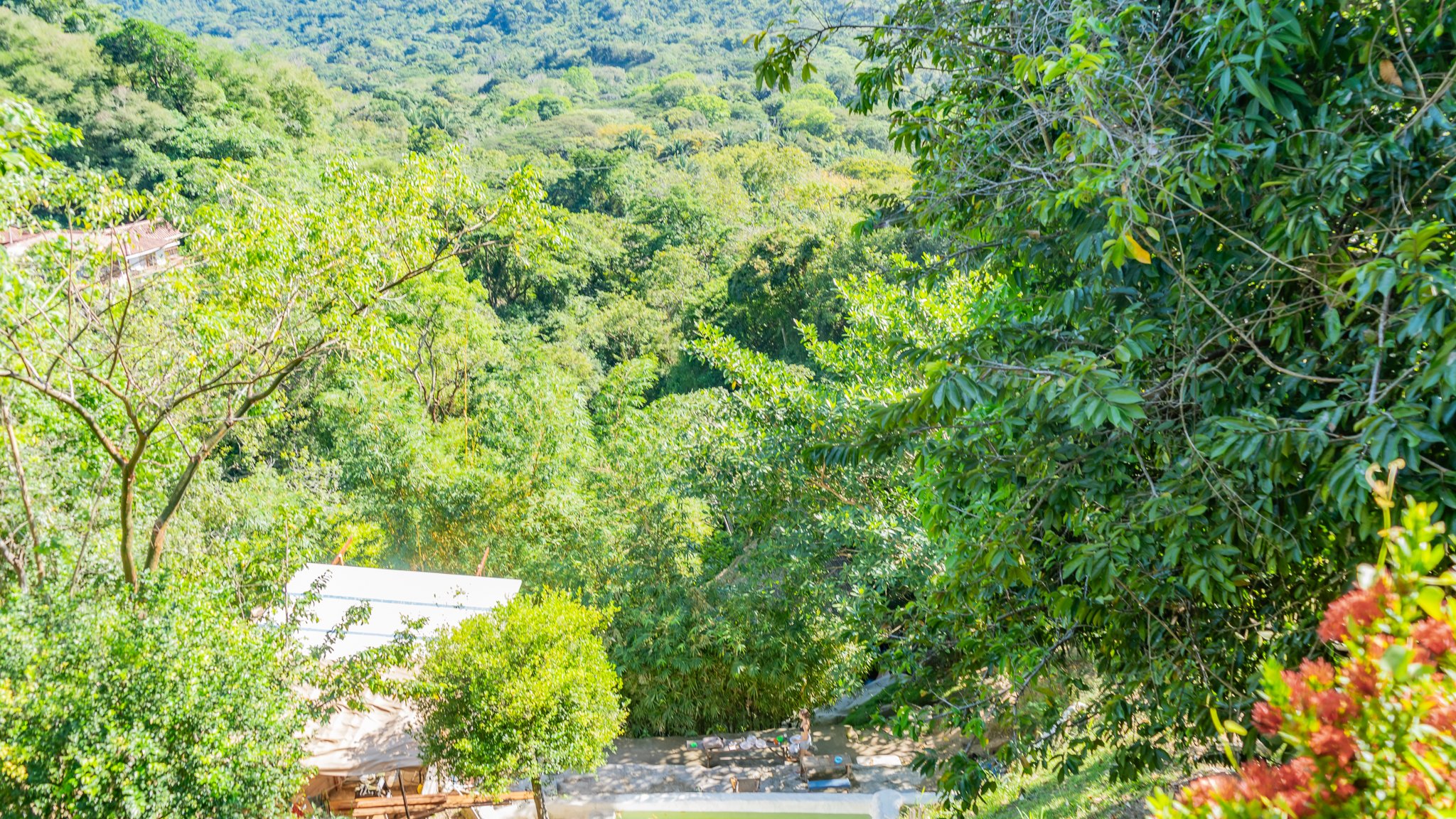 Suenos Progress-30.jpg