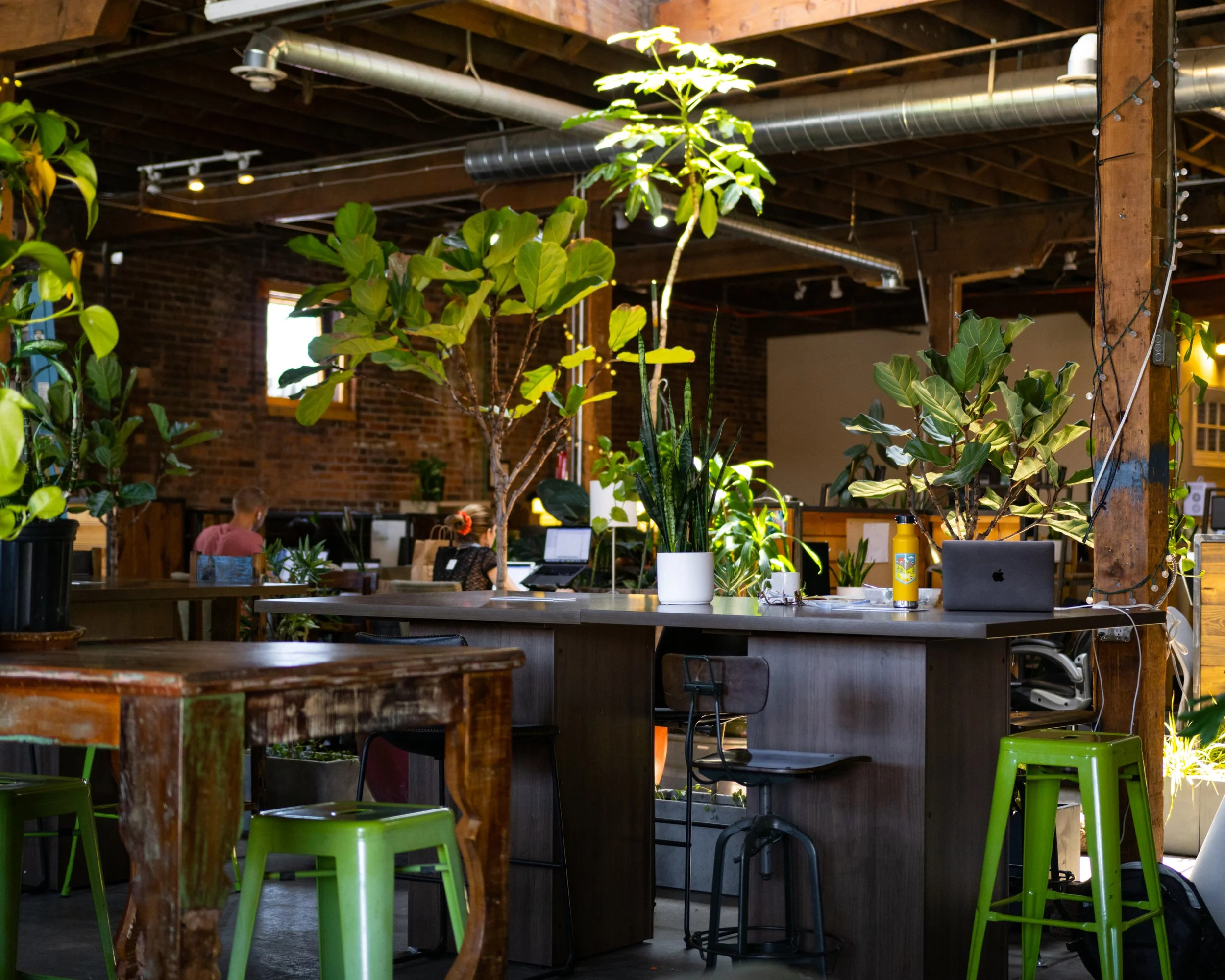 An indoor coworking space with wooden beams and brick walls, decorated with green potted plants on and around the tables. There are a few people working on laptops, and bright sunlight coming through windows creates a vibrant atmosphere.