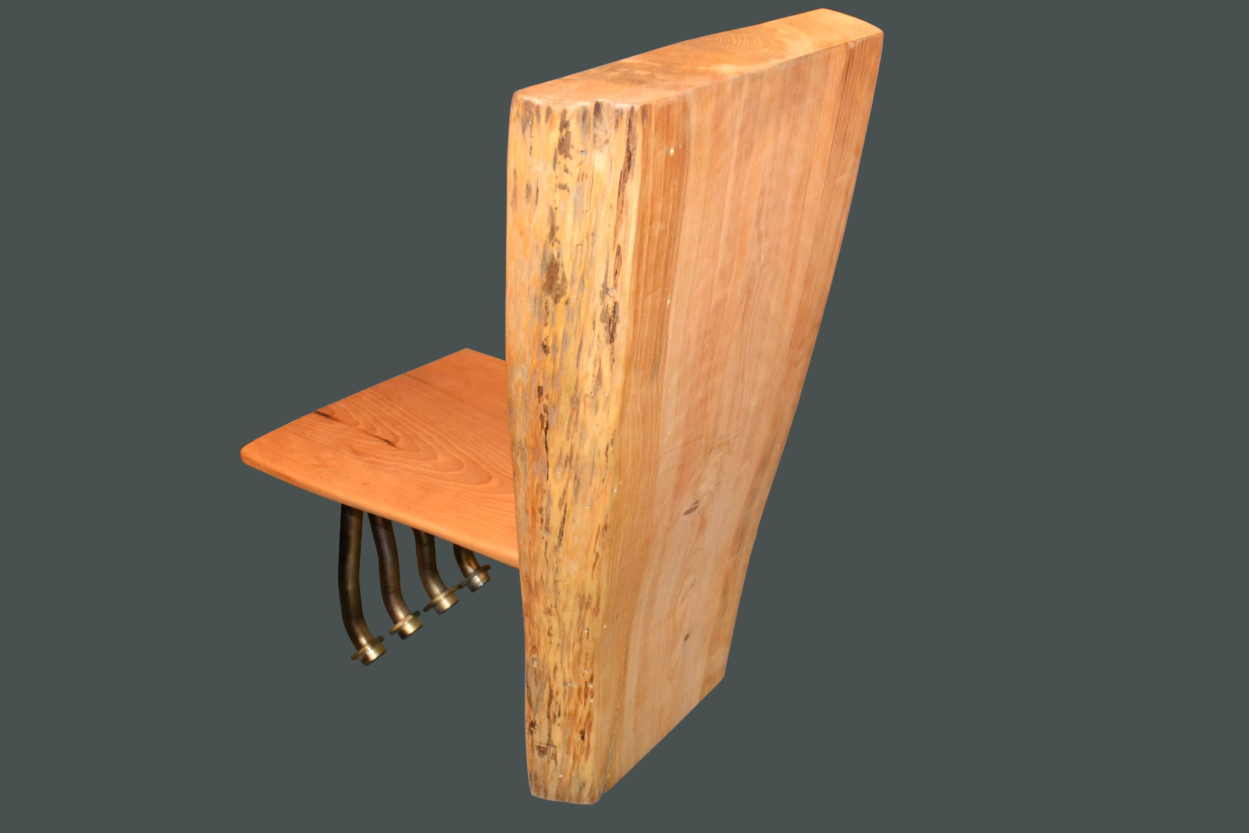 Chair_Rear_view.jpg