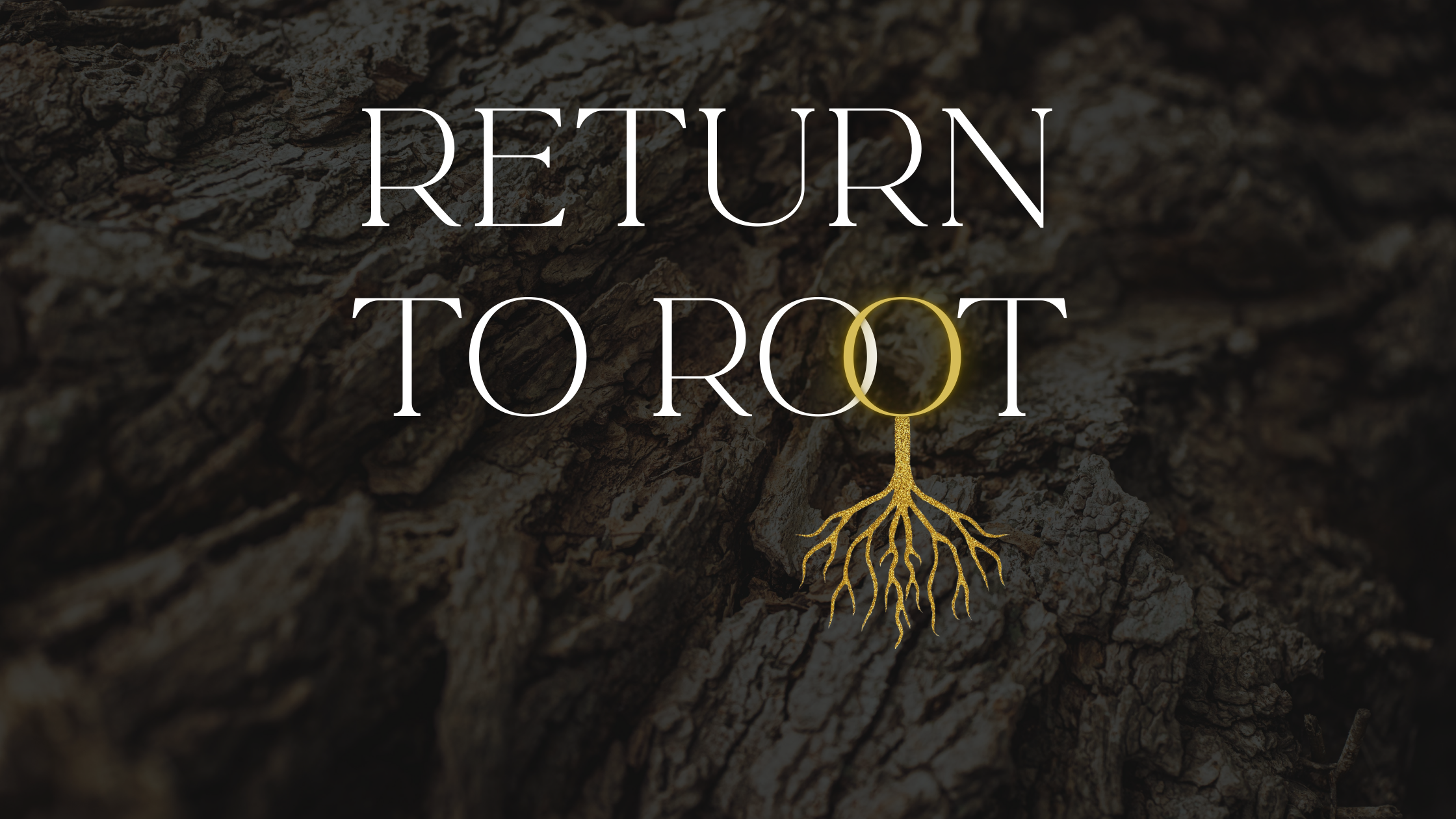 Return to Root — Eighth Chakra