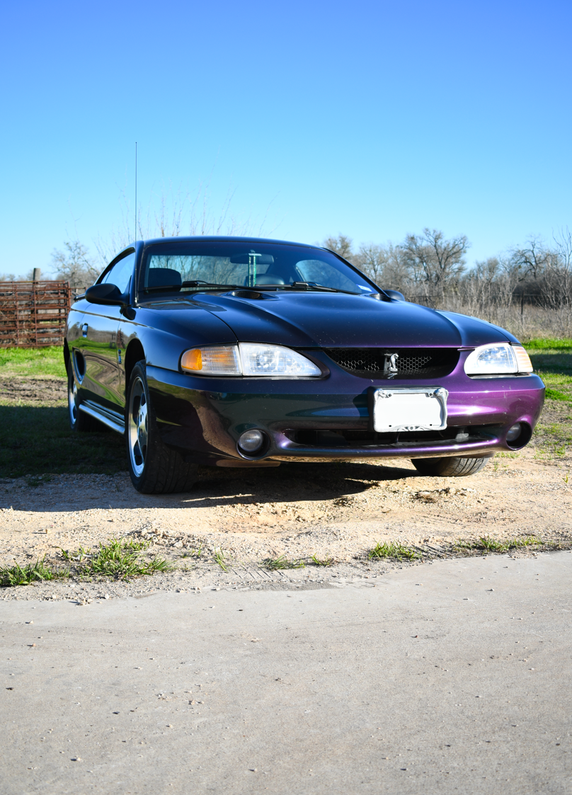 Mustang Cobra Cleopatra NO LP No CAR small.png