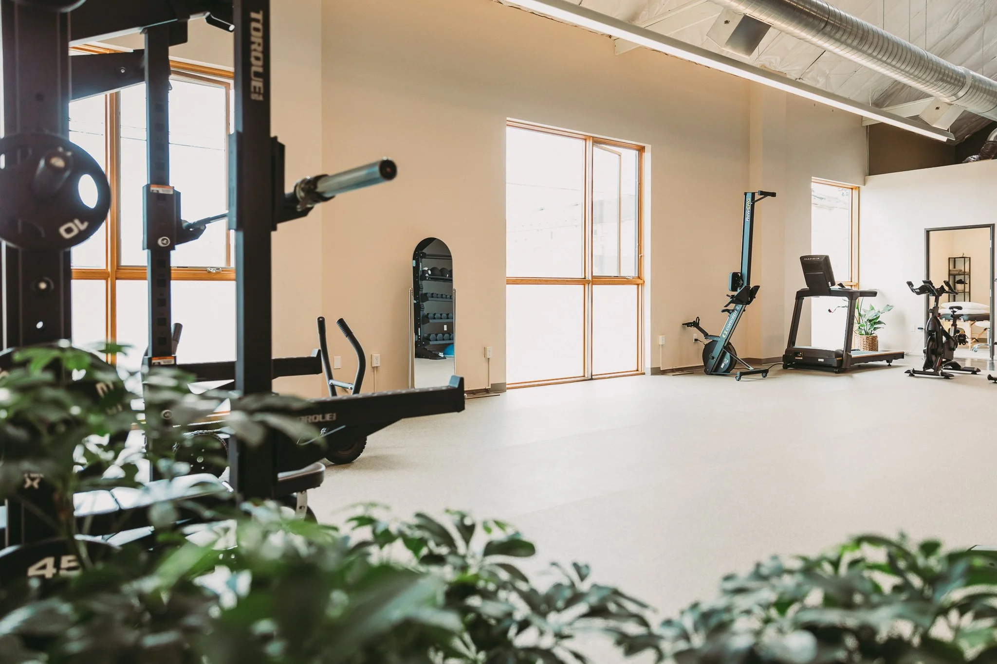 A gym room with plants and a mirror and lots of space