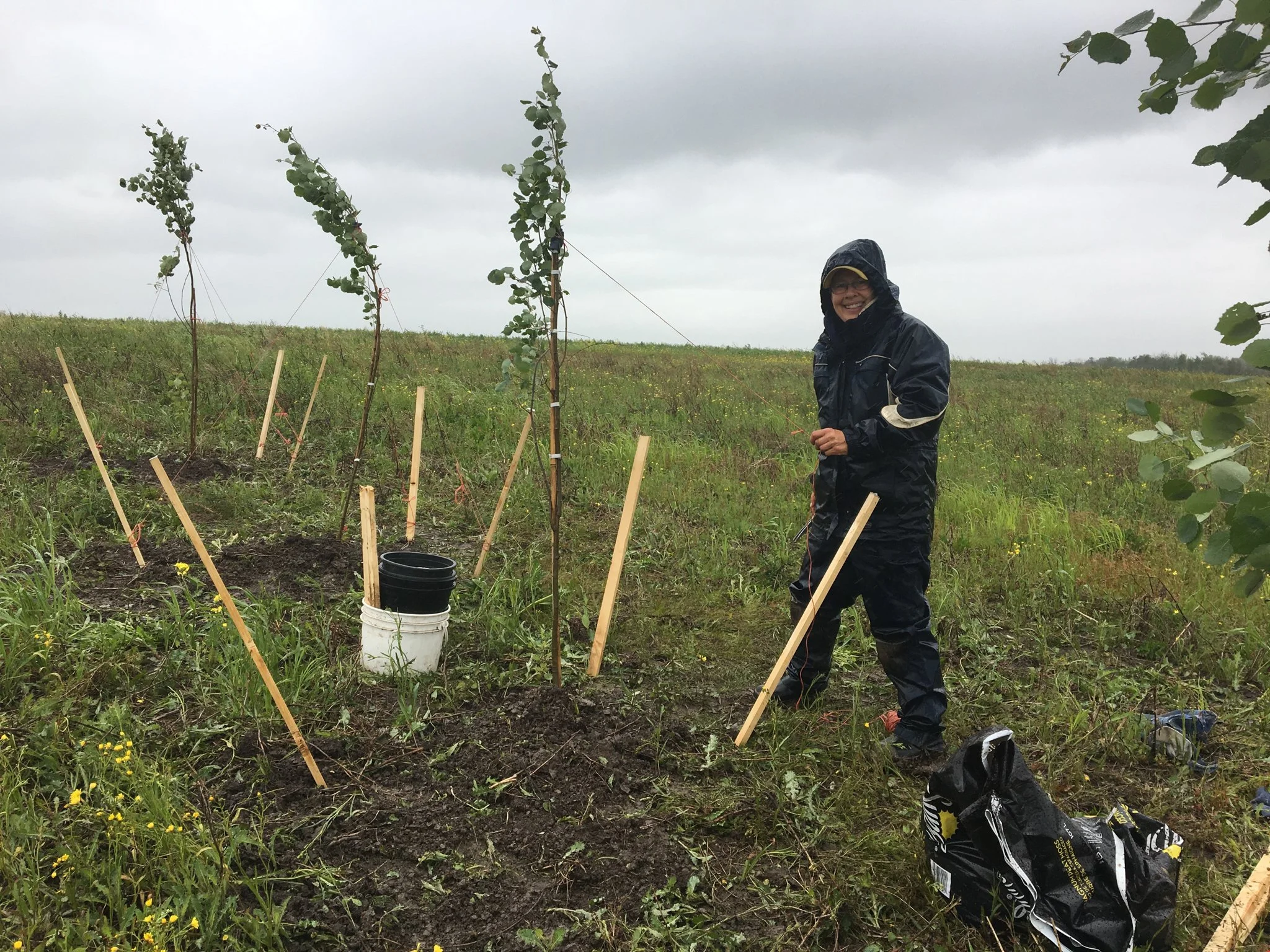 The First Small Steps To Conservation