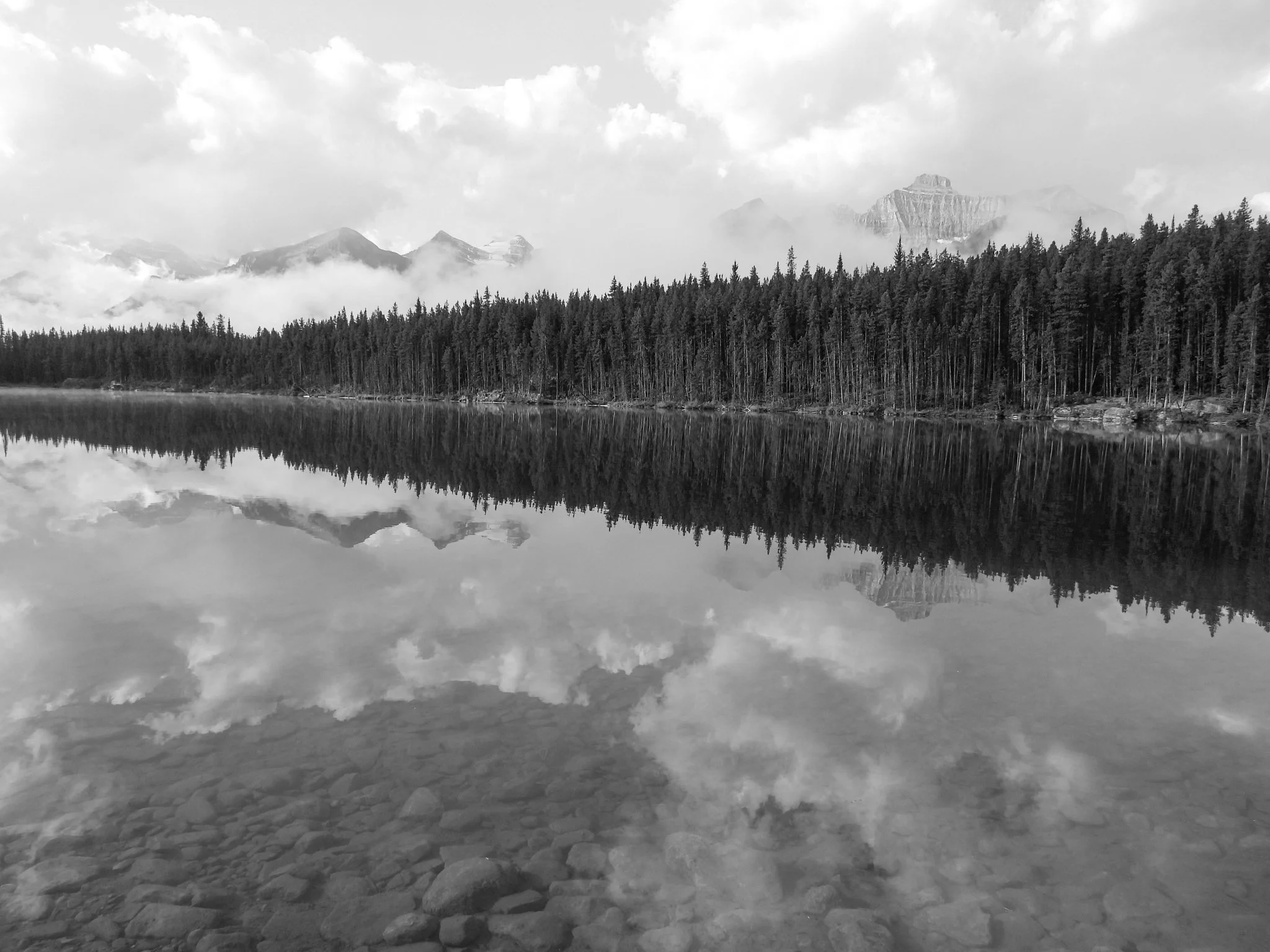 View the Weathered Landscape