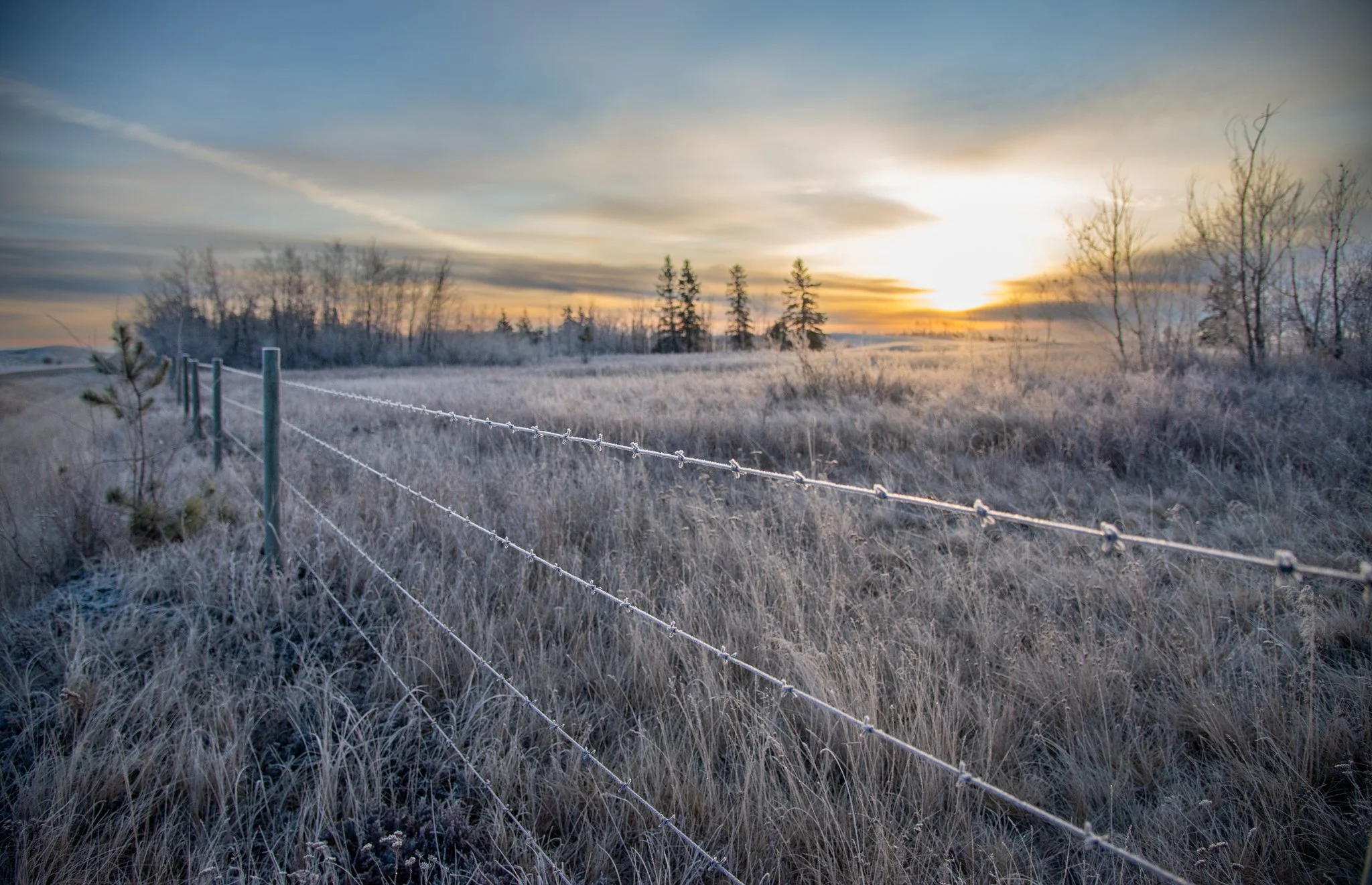 Click on the image to view Weathered Landscape 
