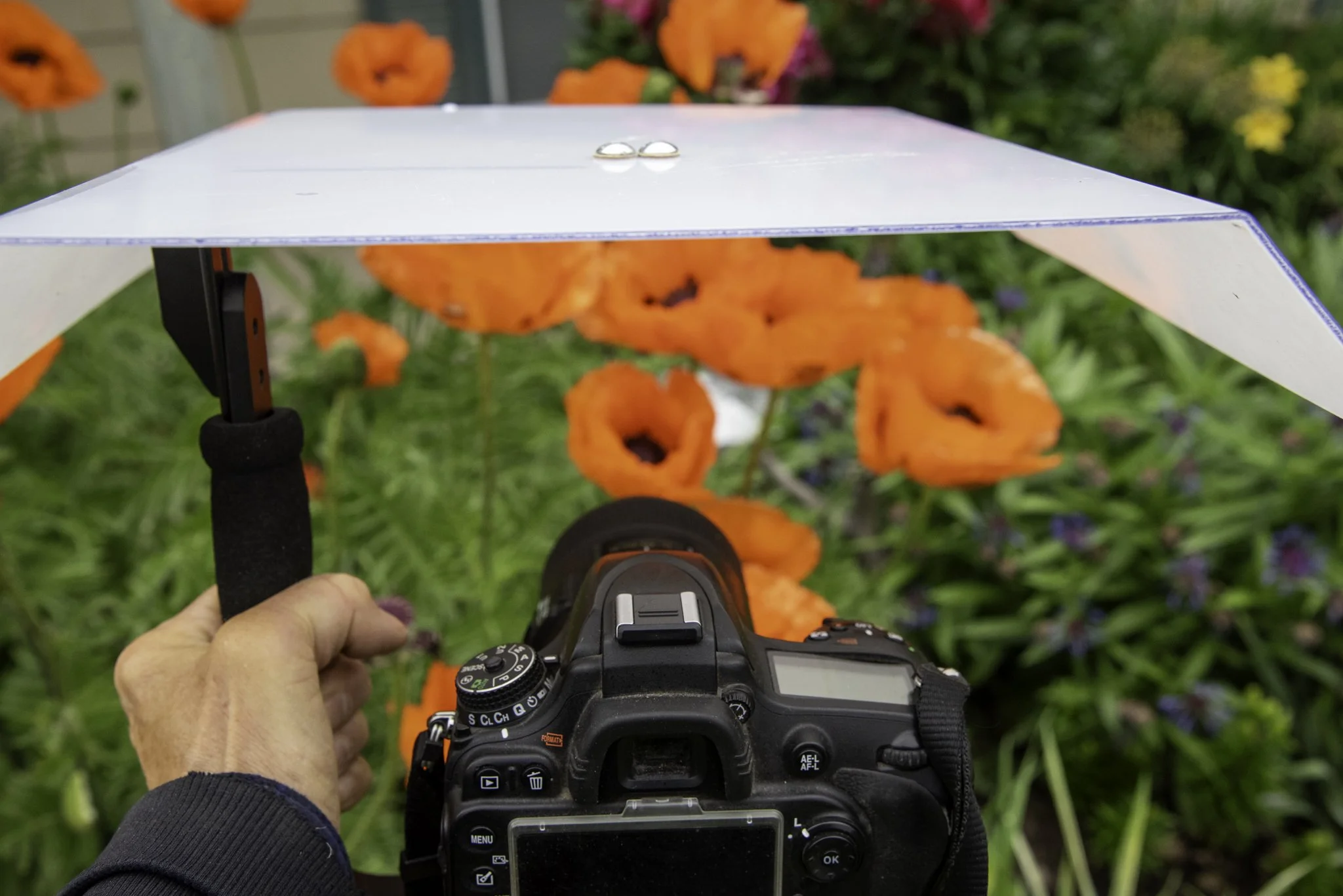 Rainy‑Day Photography: Two Practical Ways to Protect Your Camera Gear