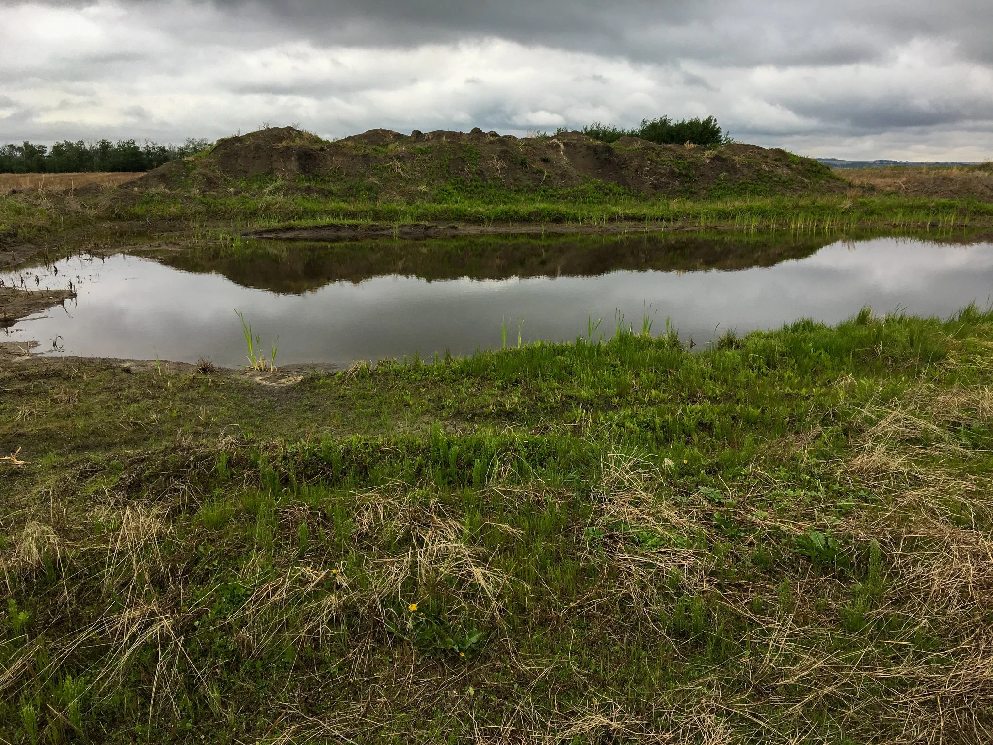 gallery2-wetland-construction-4880.jpg