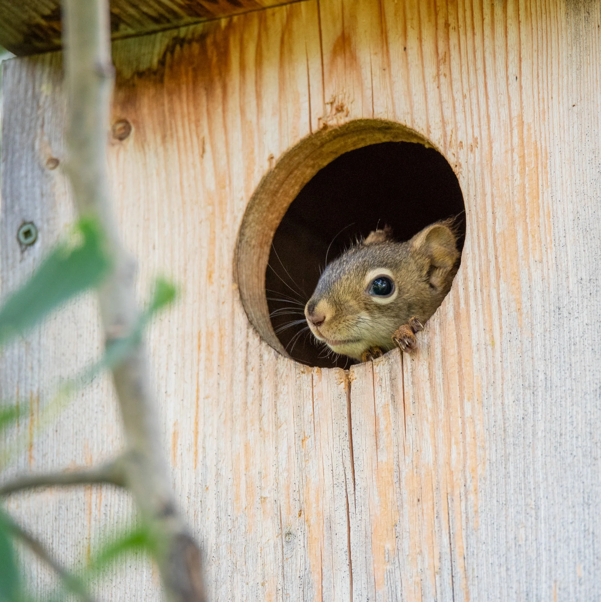 gallery2-wetland-construction-wildlife-2406.jpg