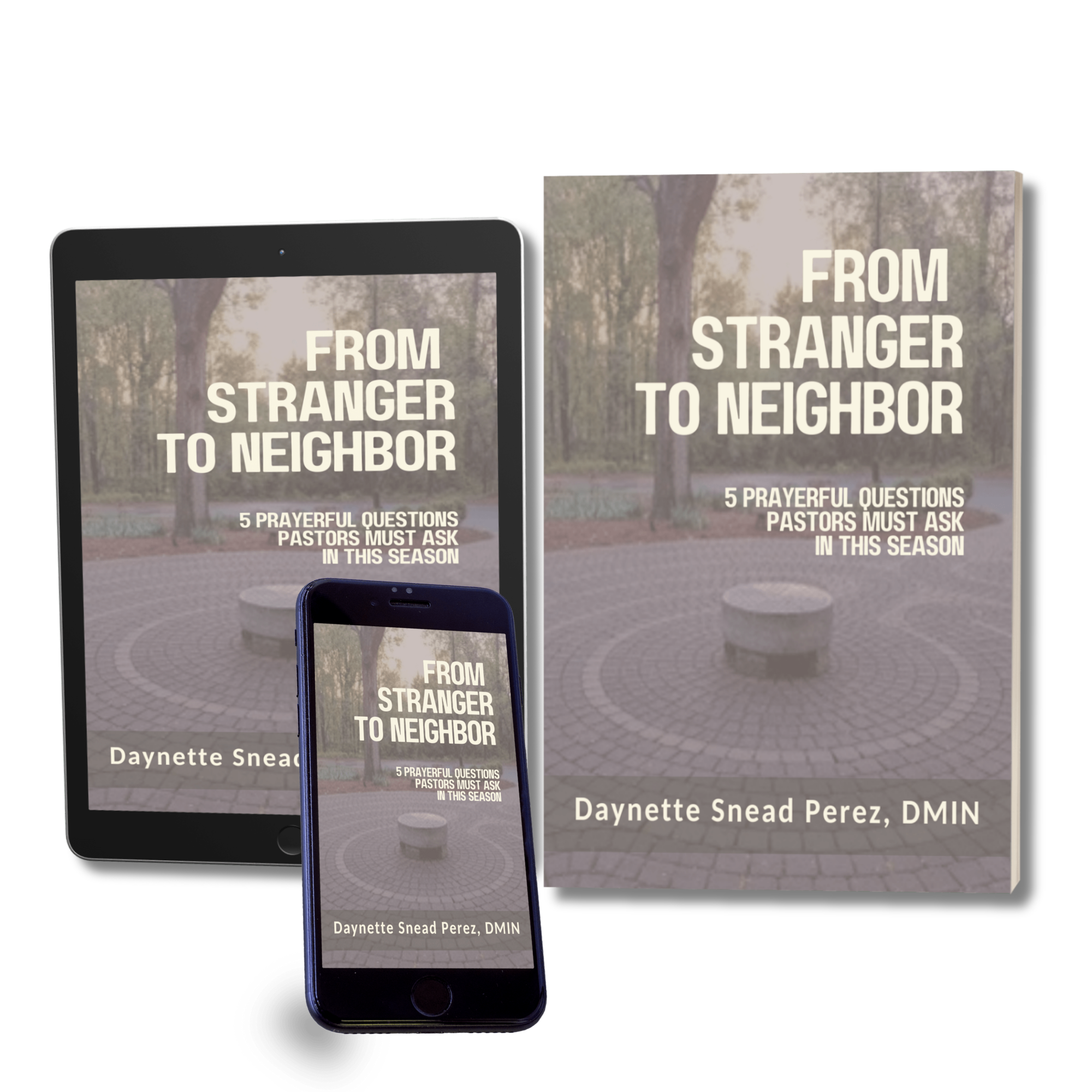 Pastor Discernment Guide 2026 "From Stranger to Neighbor" written and created by Rev. Dr.. Daynette Snead Perez.