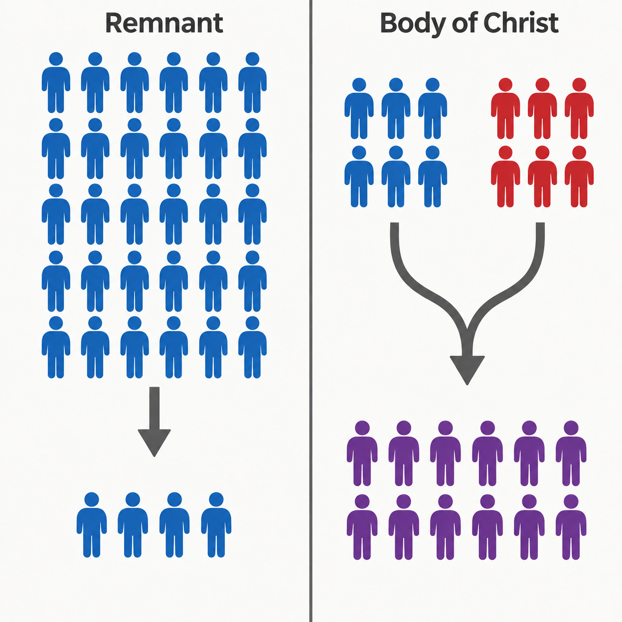 The Remnant of Israel Is Not the Body of Christ