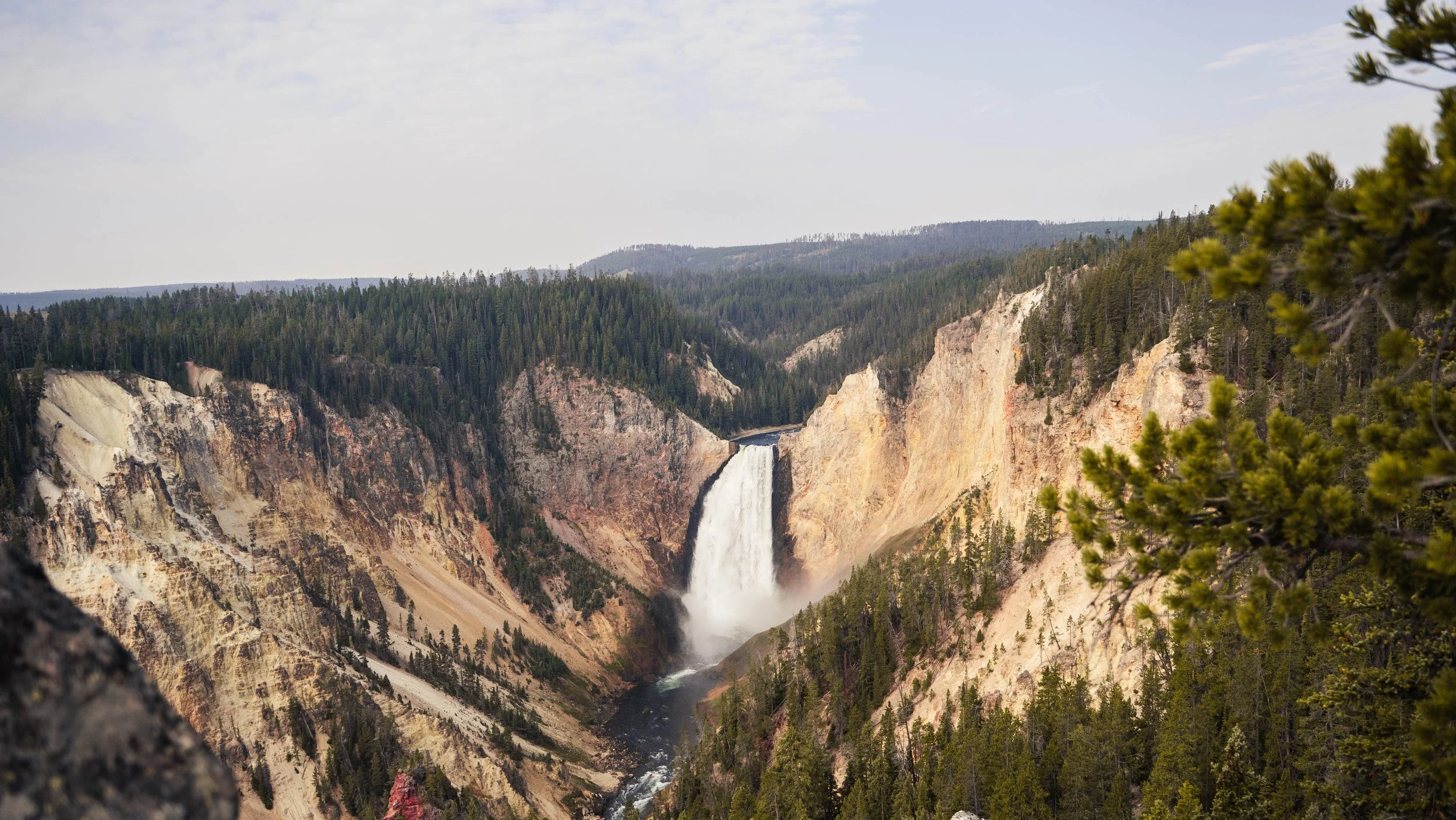 The Yellowstone Experience
