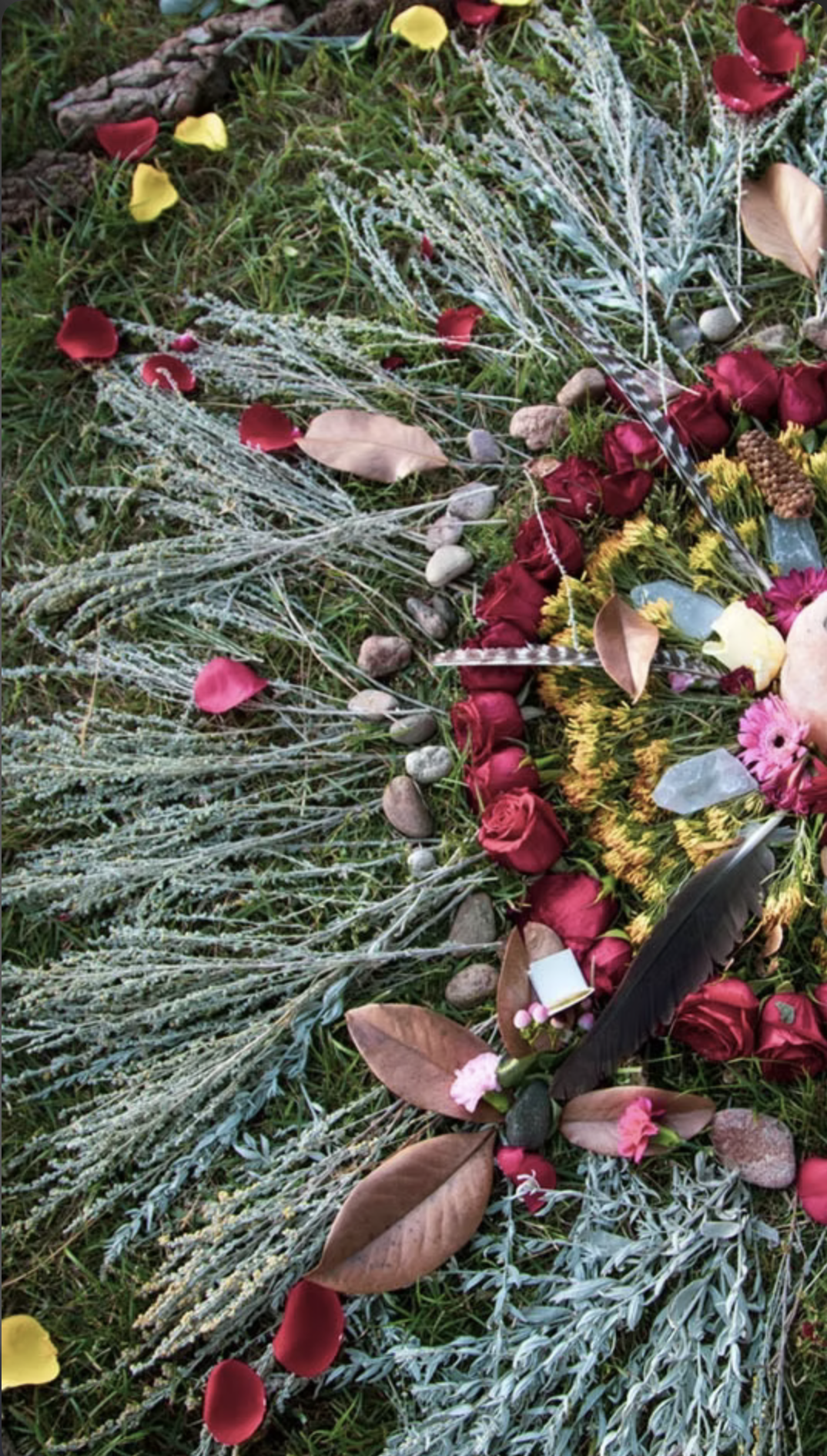 Brigitte Mars Talks and Herb Walks at the Red Earth Herbal Gathering