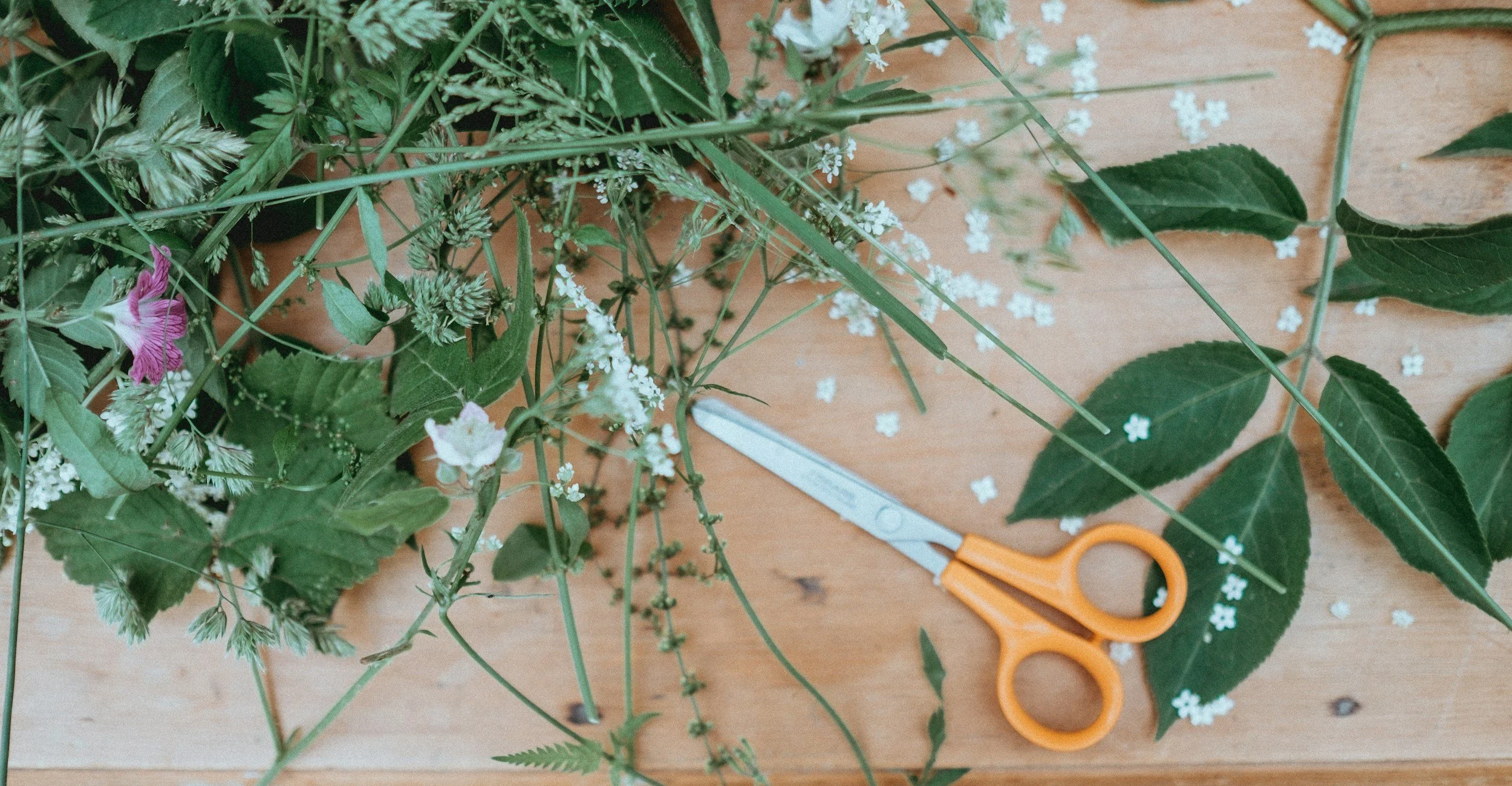  Healing Herbal Holiday Craft Class