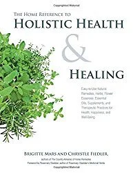 Holistic-Health-and-Healing-book-cover-2.jpg
