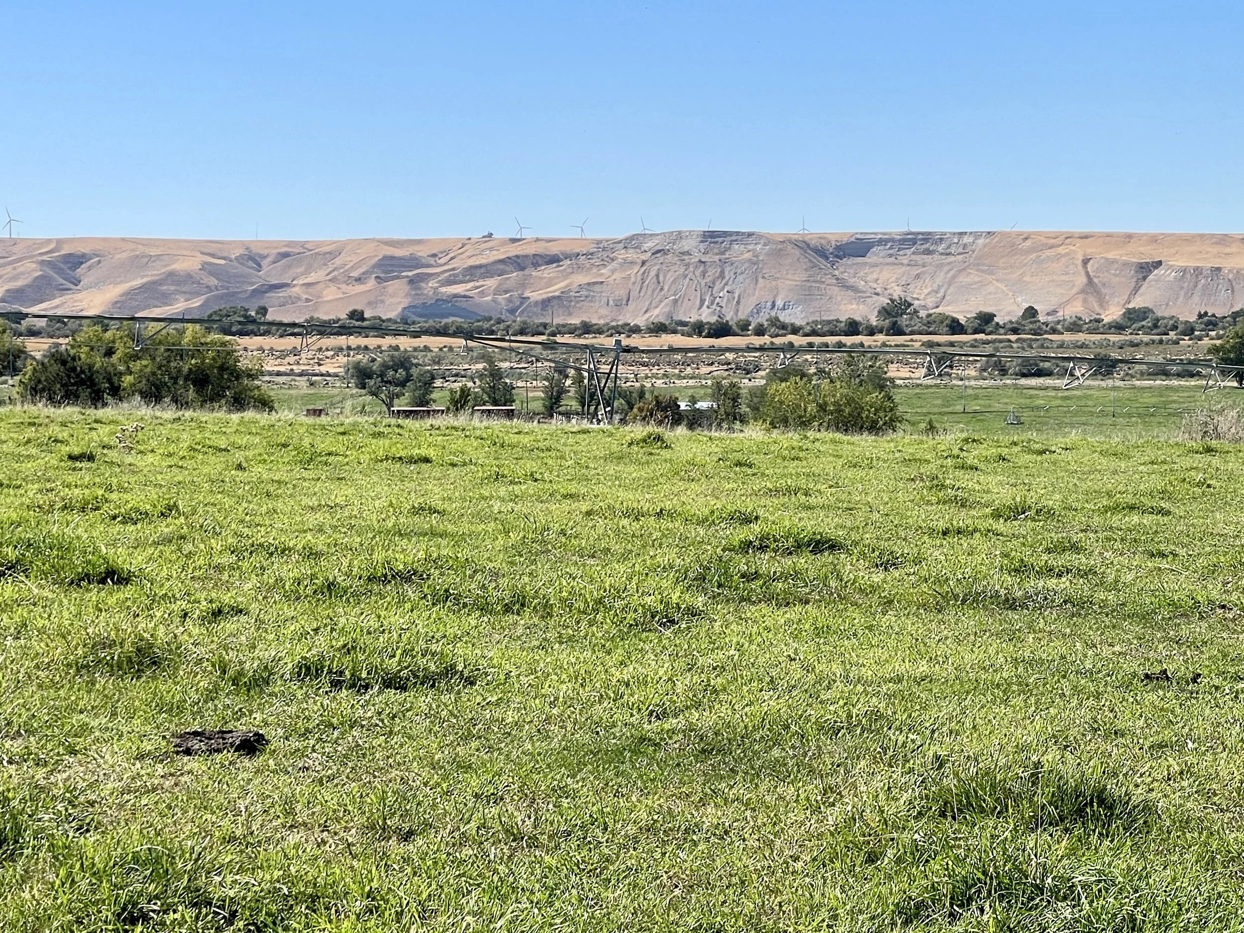 Grounds View.jpg