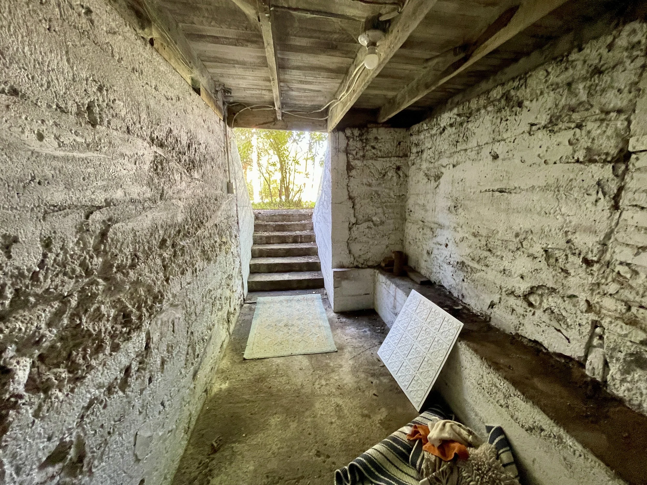 Interior Cellar Entrance 2.jpg
