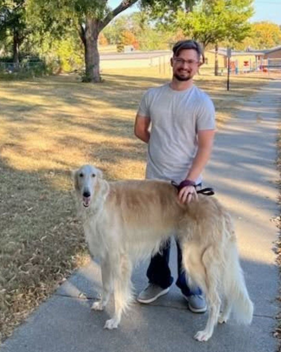 A man in a gray t-shirt and glasses stands beside a large light-colored dog on a sidewalk in a park with trees and a skate park in the background.