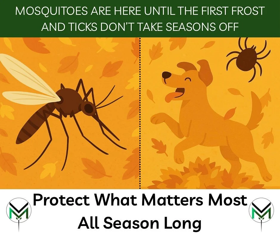 Pumpkin spice is seasonal. 😫 But ticks aren&rsquo;t. 😭 Who else thought bugs disappeared after summer? 🙋🏻&zwj;♀️ Stay protected &mdash; finish the season strong 💚