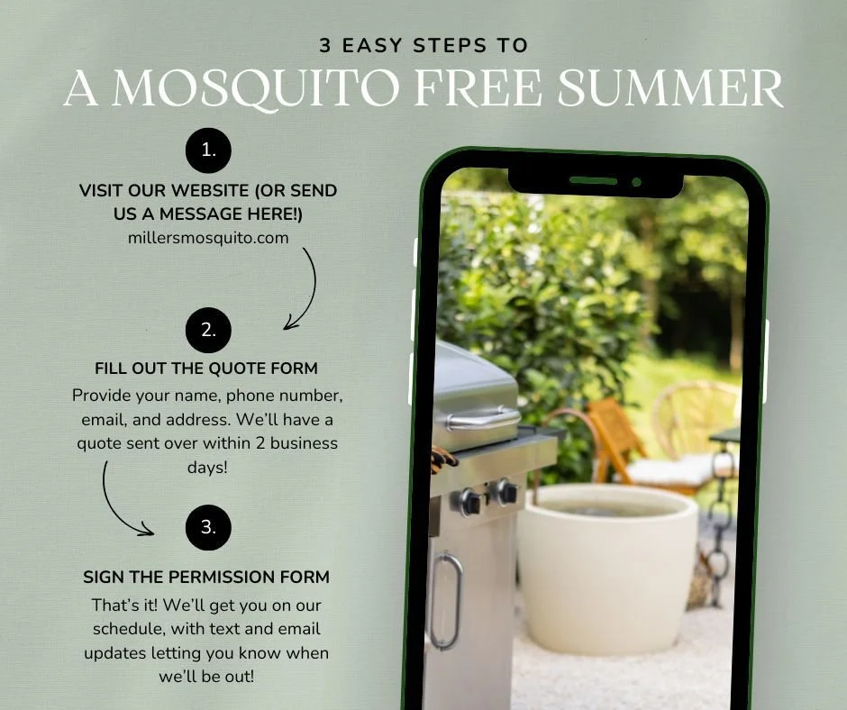Ready for a mosquito-free summer? ☀️
It&rsquo;s as easy as 1-2-3:
1️⃣ Visit millersmosquito.com (or send us a quick message here)
2️⃣ Fill out our quote form &mdash; takes less than 2 minutes!
3️⃣ Sign &amp; relax&hellip; we&rsquo;ll handle the rest 