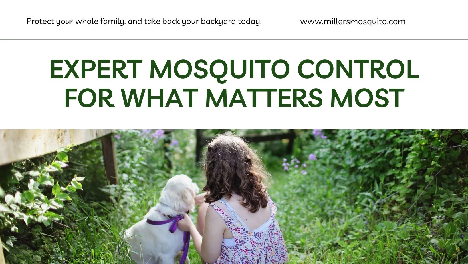 Expert MOSQUITO Control for Your Home.jpg