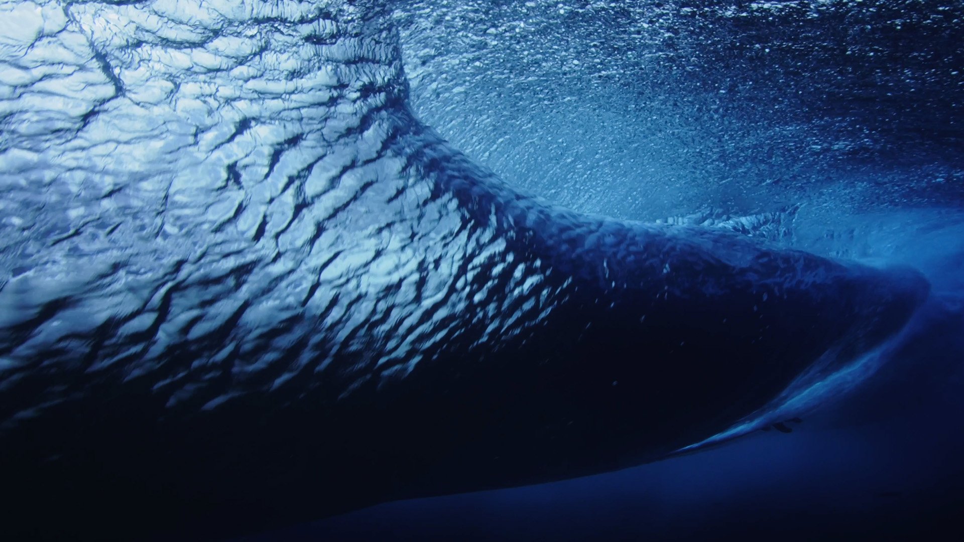 Underwater cinematography Showreel