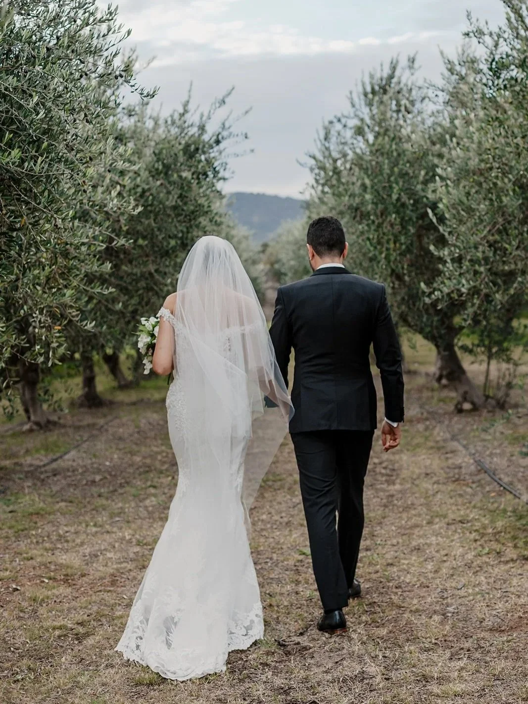 A bride and groom walking through an olive grove, seen from behind, during their wedding day. The bride wears a white lace wedding gown with a veil, and the groom wears a black suit.