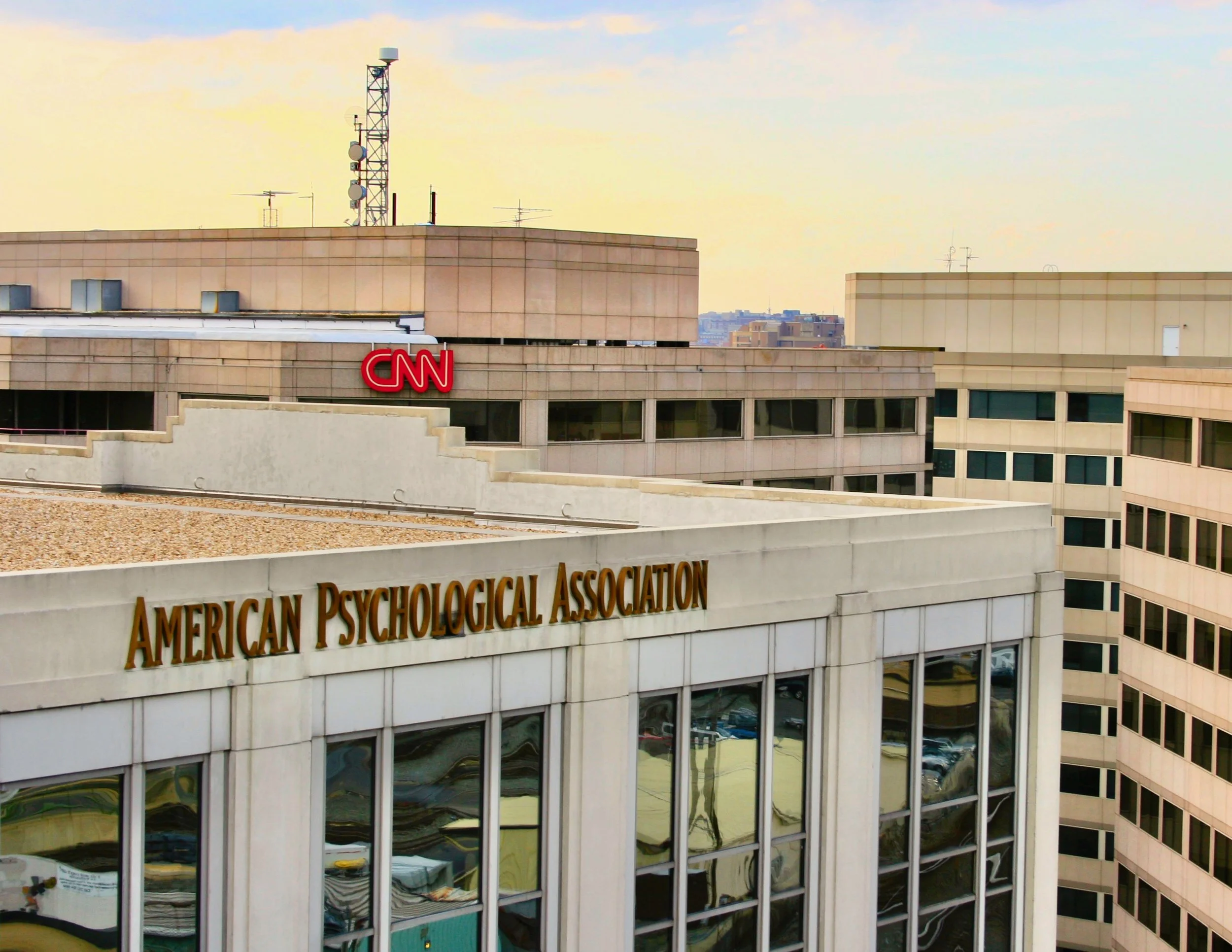American Psychological Association