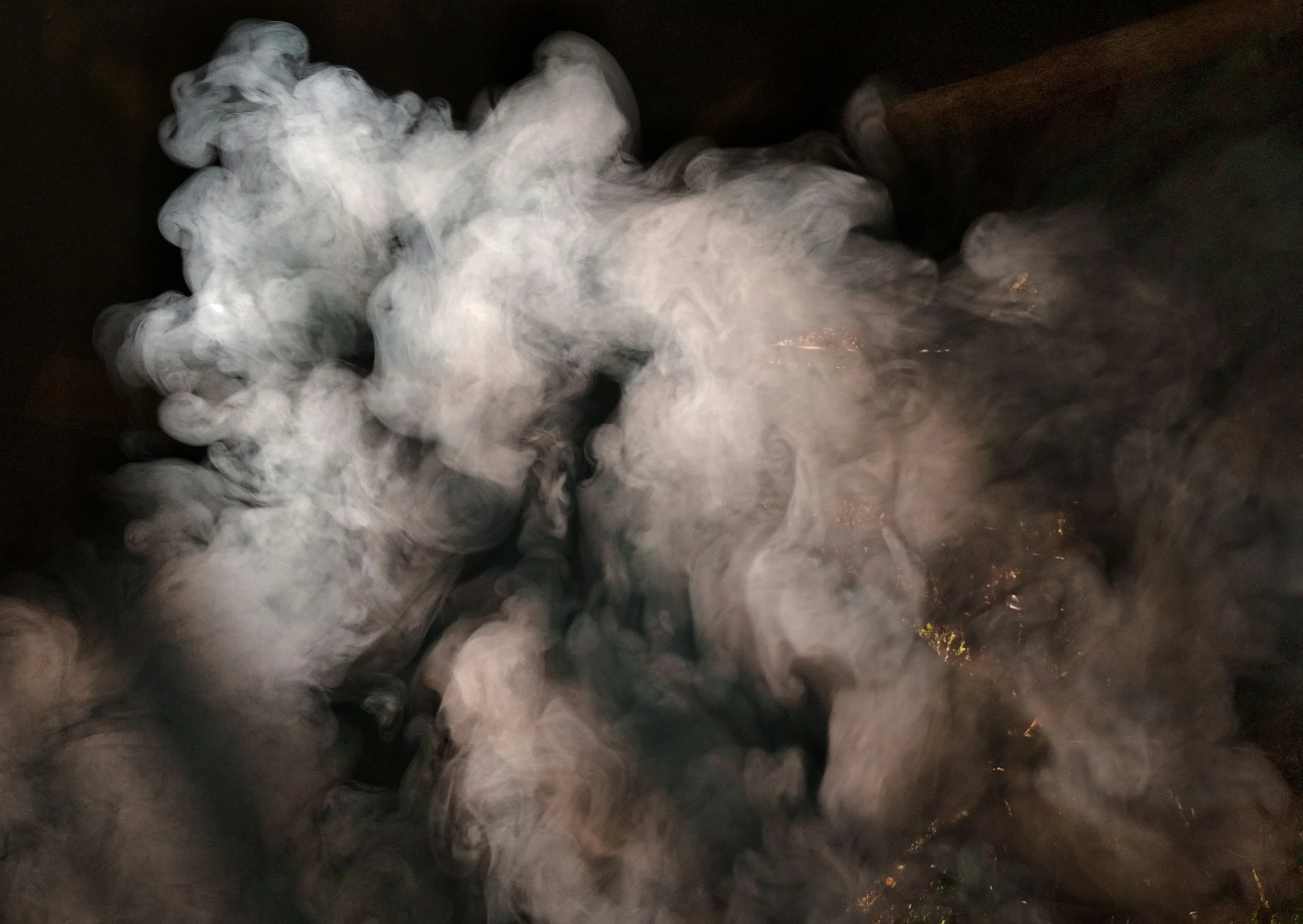 Pet Candy Veterinary Clinic Statement on Air Quality and Animal Health