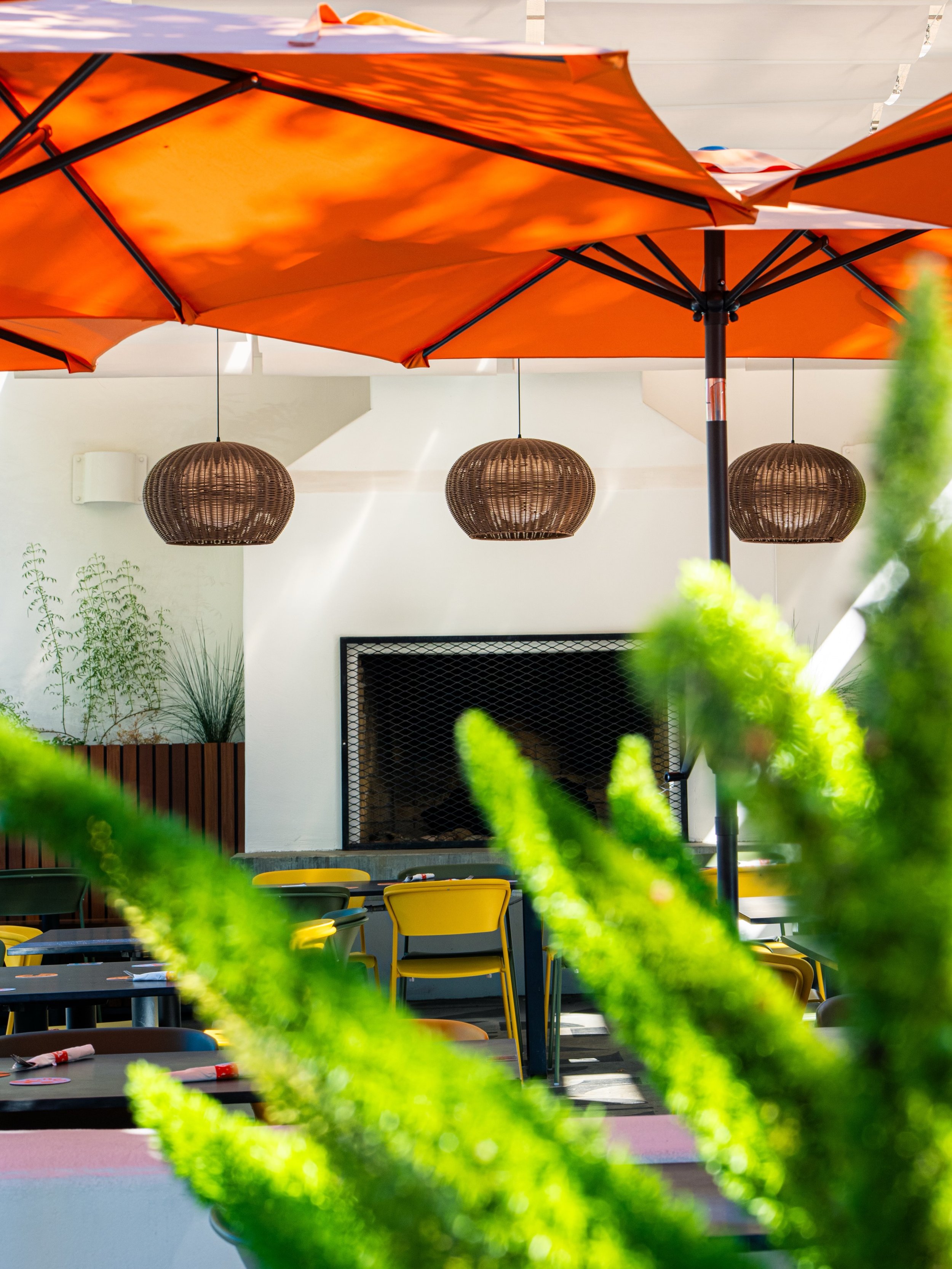 Grab a spot on the patio this weekend ☀️

Place your orders up front and enjoy your Acorn Favs in the sunshine 🥗🍳🥯☕️

Open 8am - 3pm, daily 

#brunchtime #acorncafe #healdsburg #breakfastturnedup #weekendmode