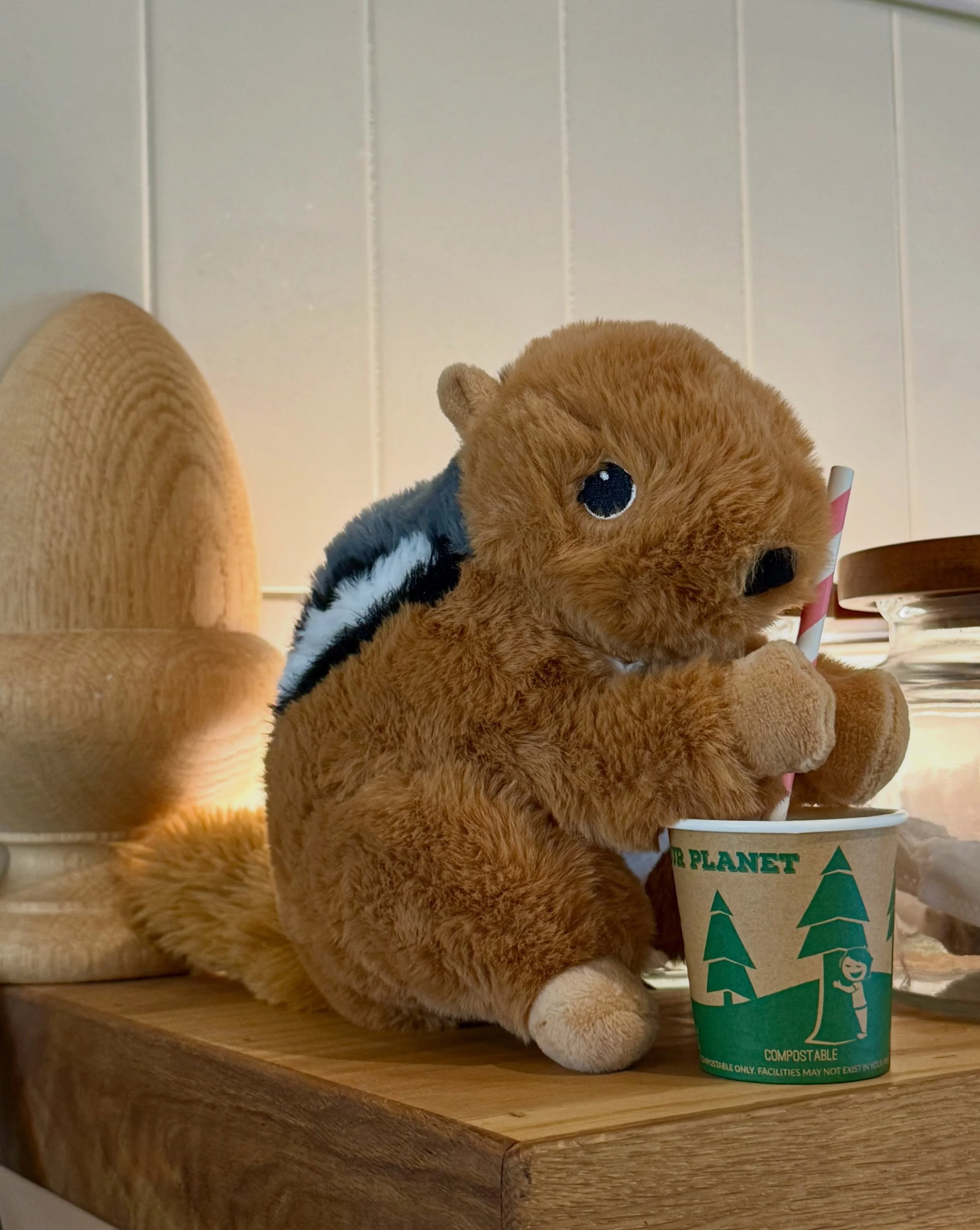 We&rsquo;re keeping Mr. Nibbles caffeinated until his owner comes back from vacation ☕️

If you or your kiddos left him at the cafe, he&rsquo;s hanging out with us ☺️

#lostandfound #acorncafe #acornbuddies #healdsburg