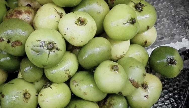 kalamansi