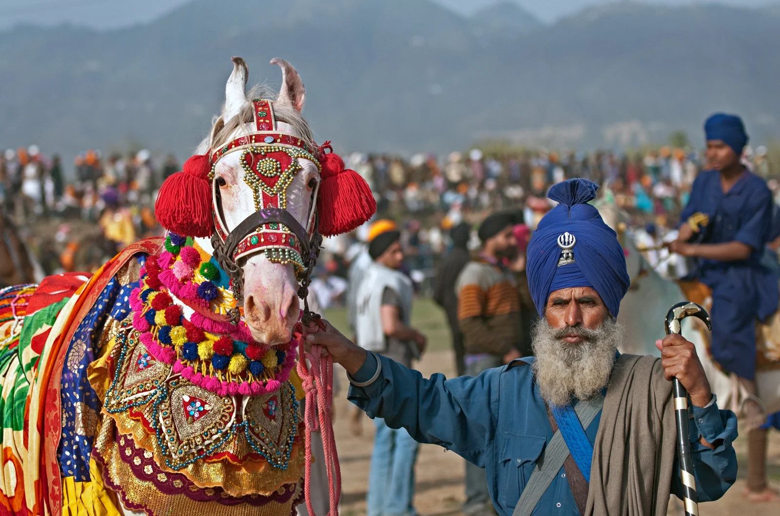 8 Nihang warrior with his beautifully decorated horse.jpg