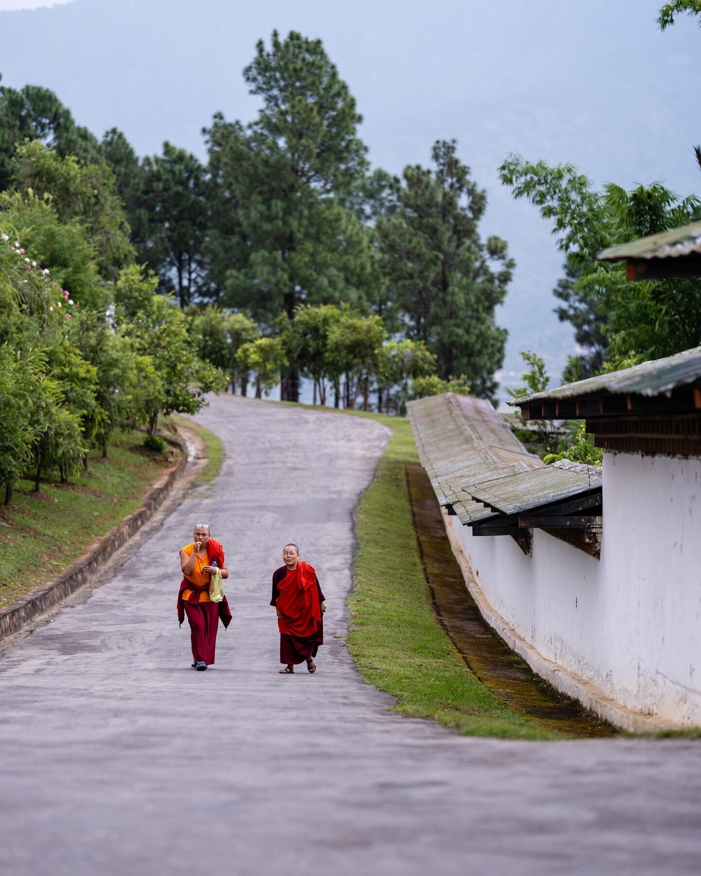 Serene rhythm of monkhood in Bhutan 🇧🇹 

#monk #buddha #buddhateachings #buddhist #imagesbyabhishek #abhishekhajela #bhutan🇧🇹 #bhutandiaries #bhutanphotography #travelphotography #gfx #mediumformat #fujifilmindia @fujifilmxindia