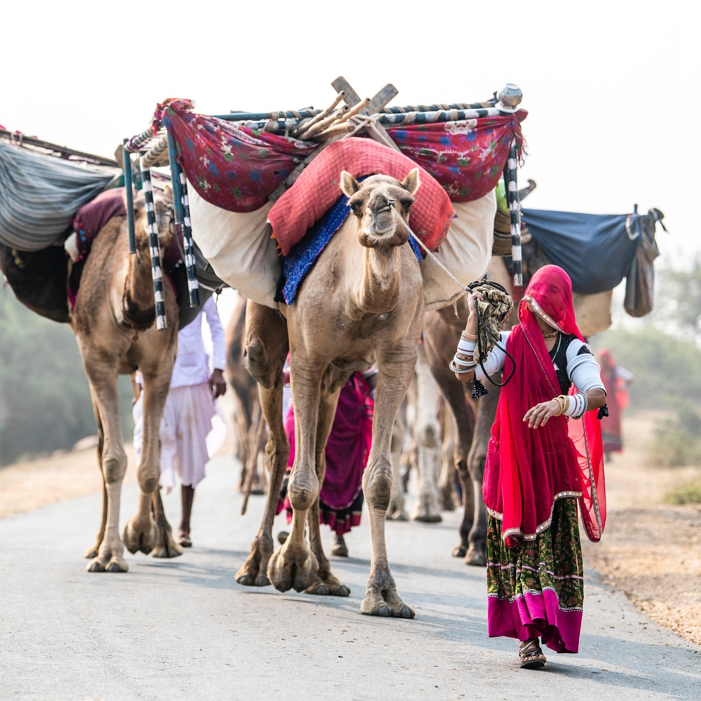 I often find my mind drifting back to my friends, the Rabari or the Raika people. Spending all those hours with them, just photographing and really getting a feel for their culture &ndash; it was such a privilege. They&rsquo;re just so vibrant, alway