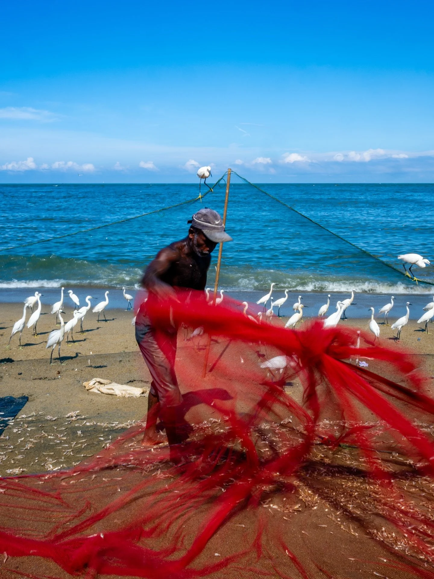 Scenes from Negombo&rsquo;s fishing coast &mdash; colour, chaos and calm!

#imagesbyabhishek #srilanka #fishmarket #travelphotography #learnphotography #abhishekhajela #uniquephotoadventures #photoworkshop
