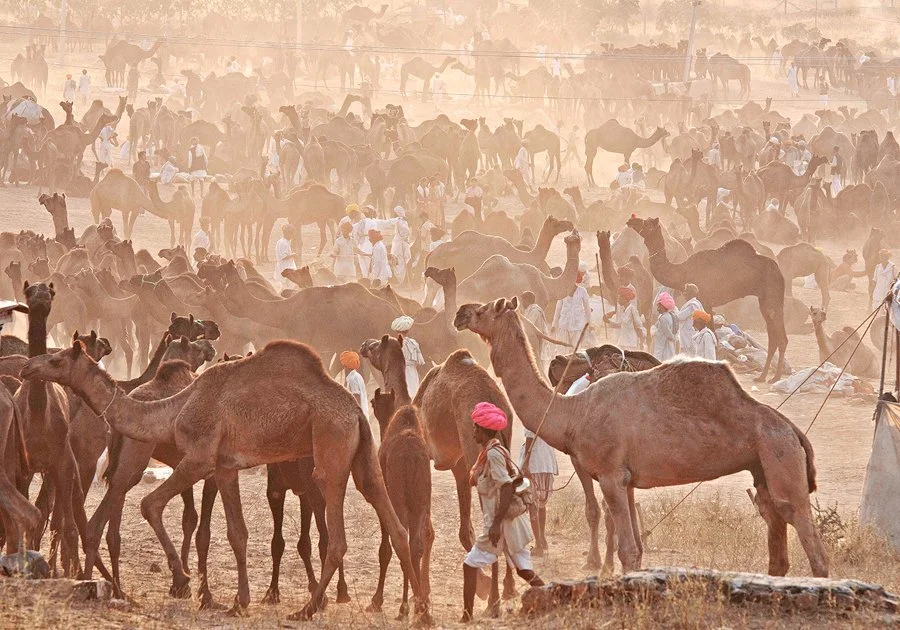 143 Abhi.jpg