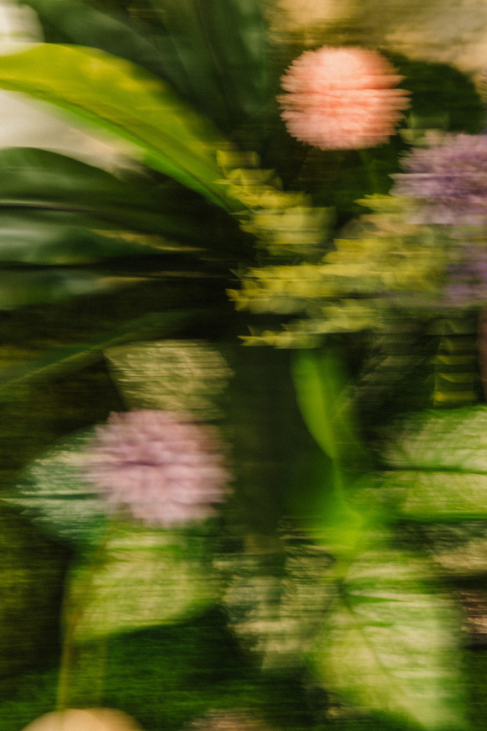 Copy of 250412_Softer_Digital_Futures_2025_@siennalorrainegray-201.jpg