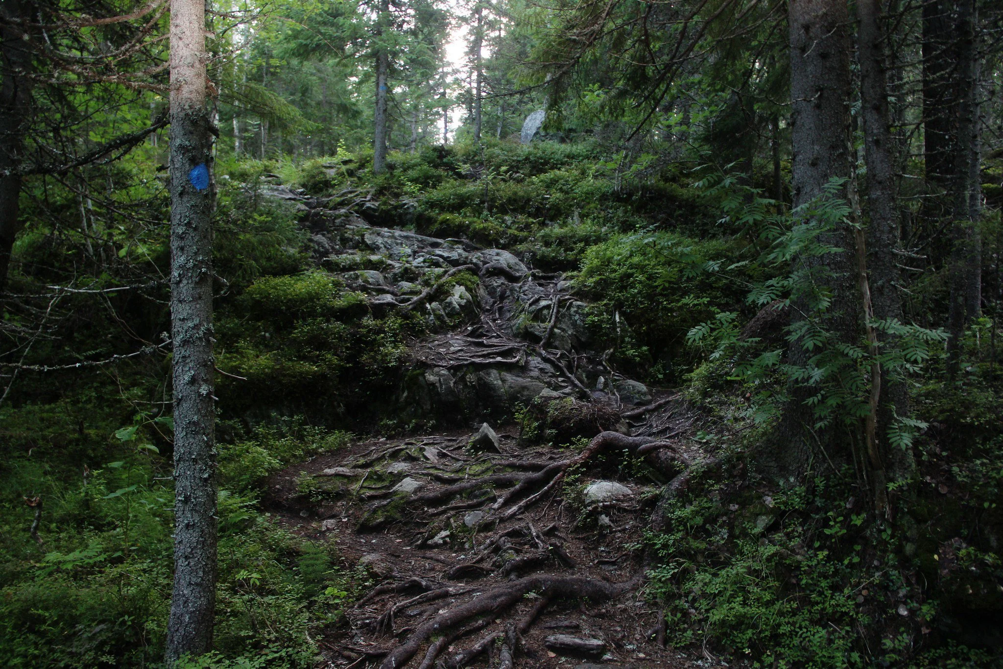51378689490_8e028bc1ff_k.jpg